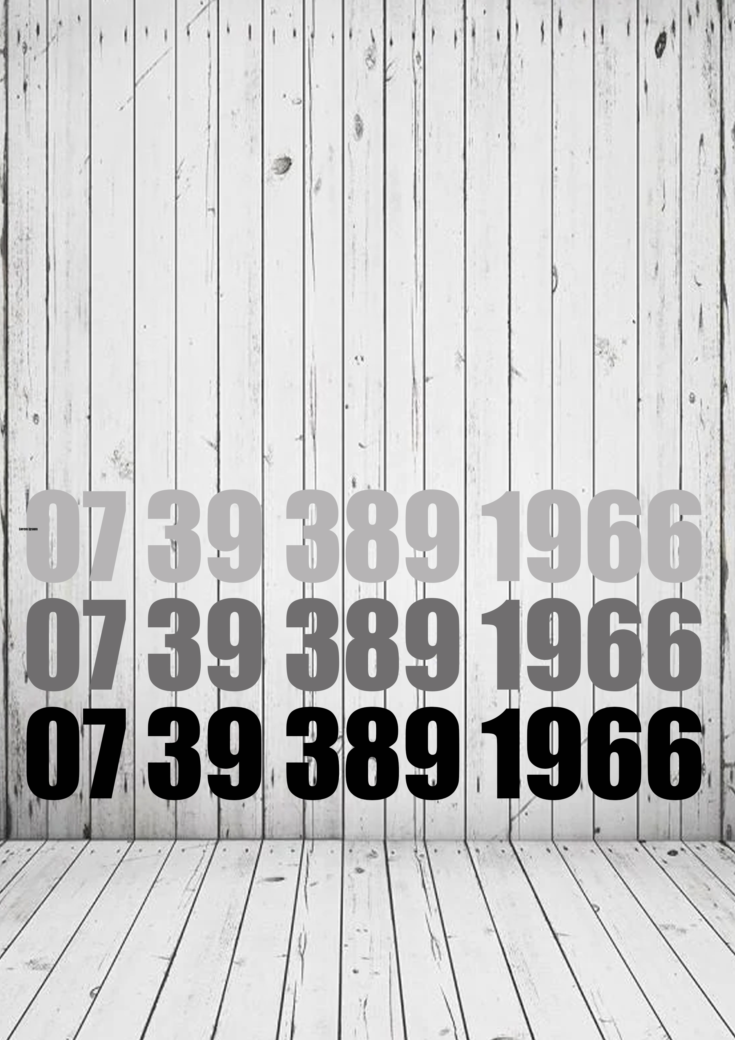 07 39 389 1966