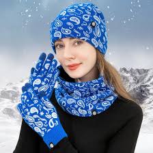 Winter Blue Paisley Accessory Set