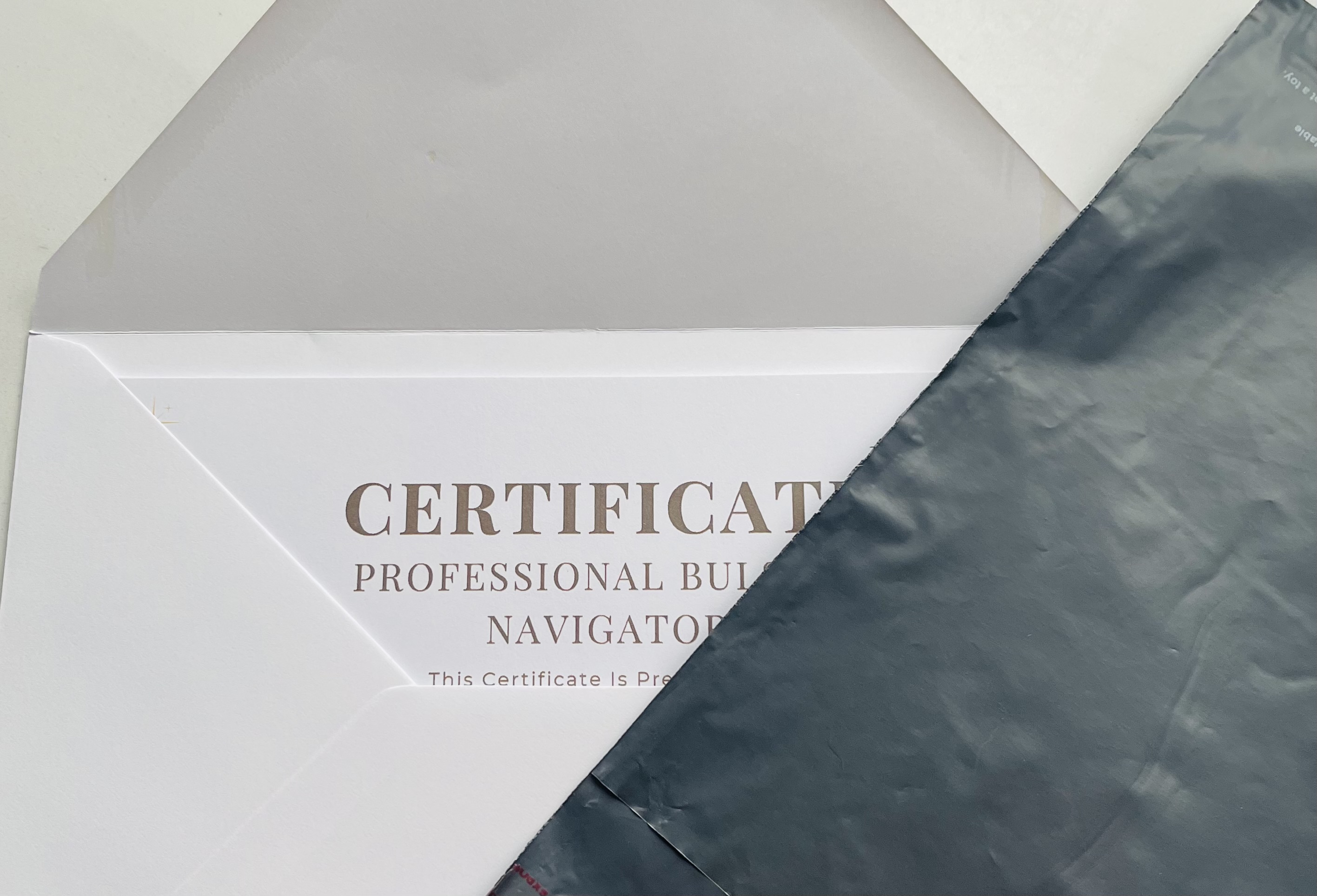 Professional Bullsh*t Navigator – Digital A5 Certificate