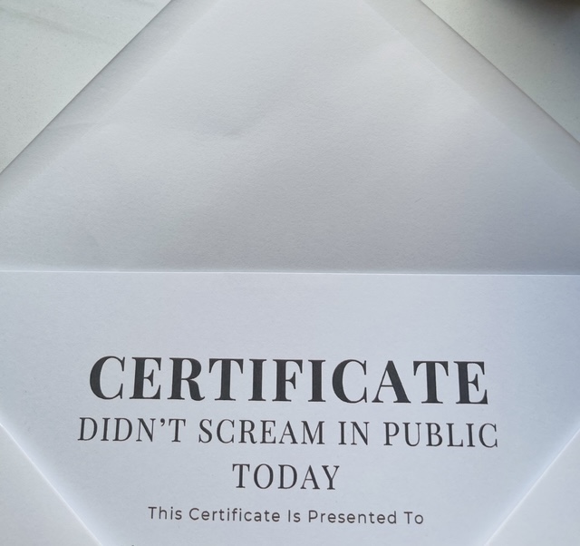 Didn’t Scream in Public Today – Digital Certificate