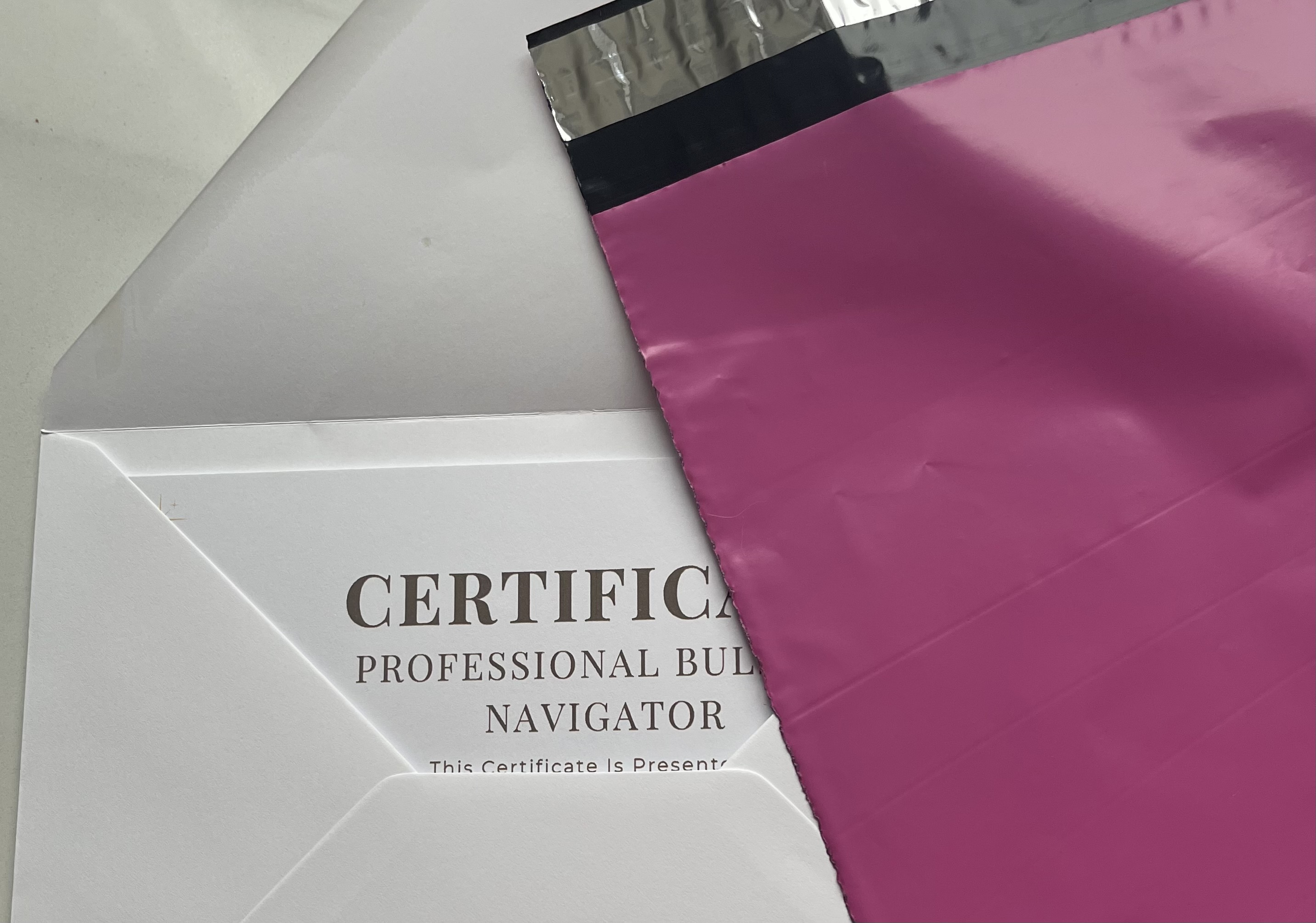 Professional Bullsh*t Navigator – Digital A5 Certificate