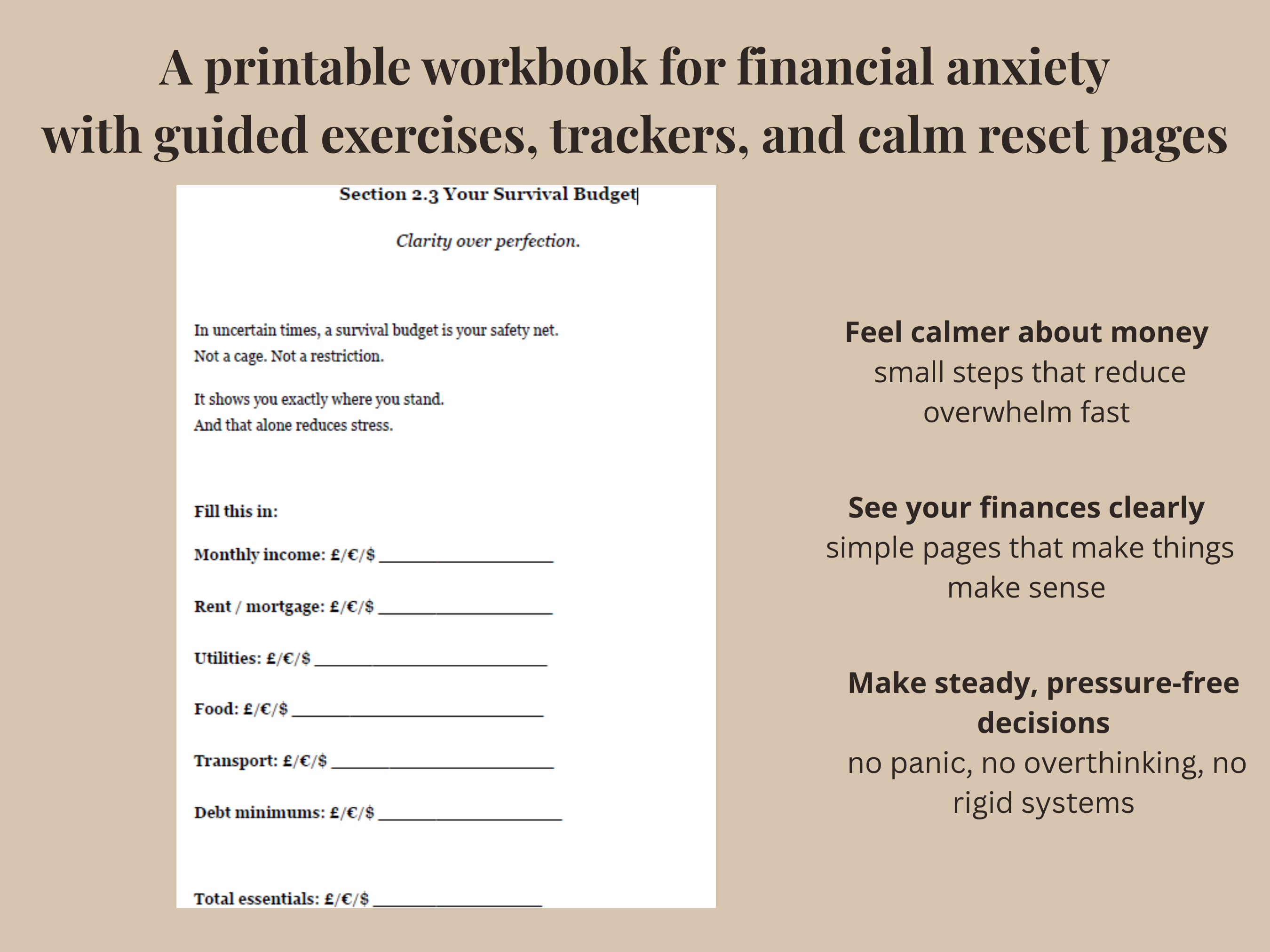 Financial Anxiety Workbook. Calm Your Wallet, Calm Your Mind