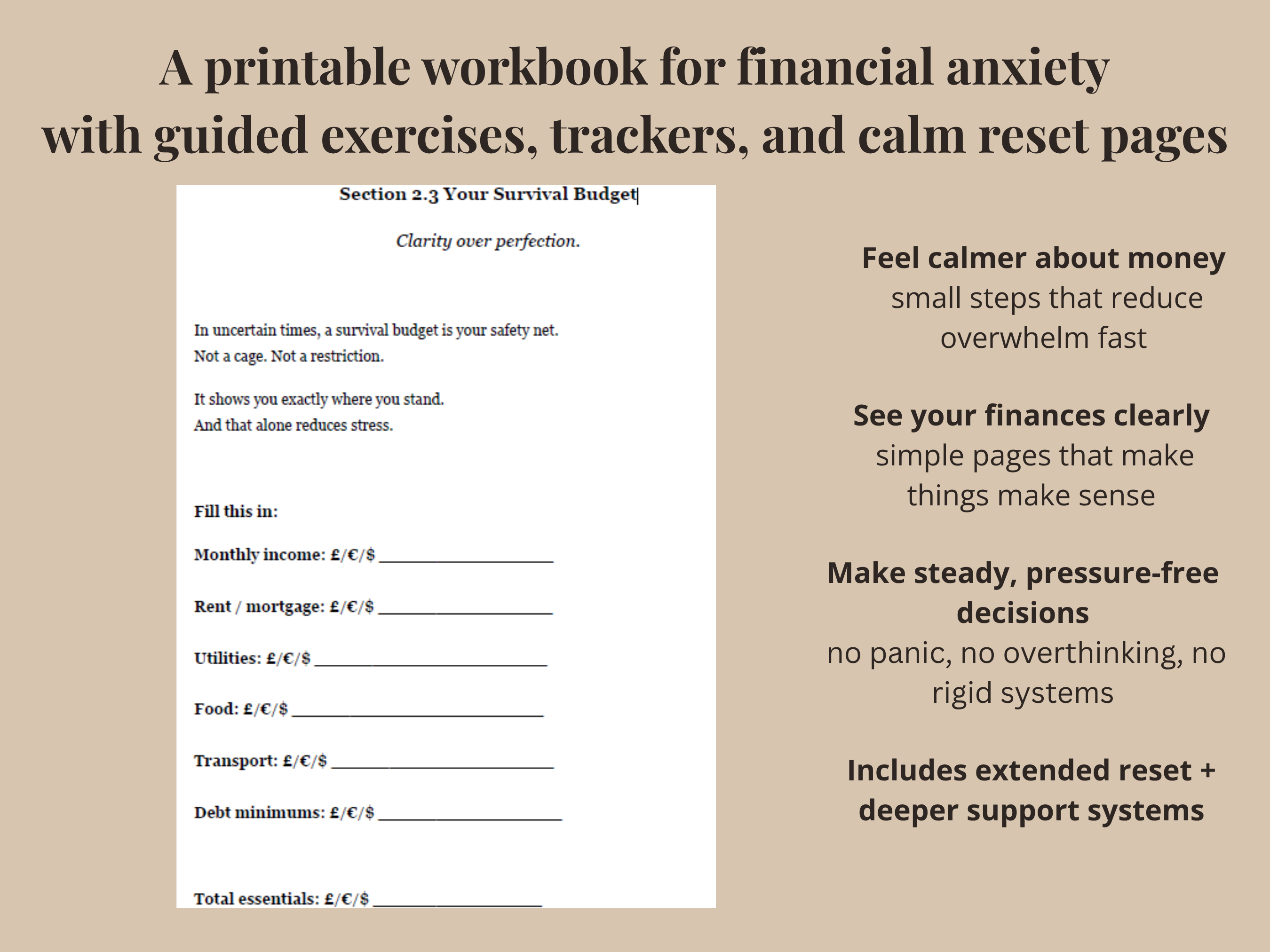 Financial Anxiety Workbook (Deluxe Edition)