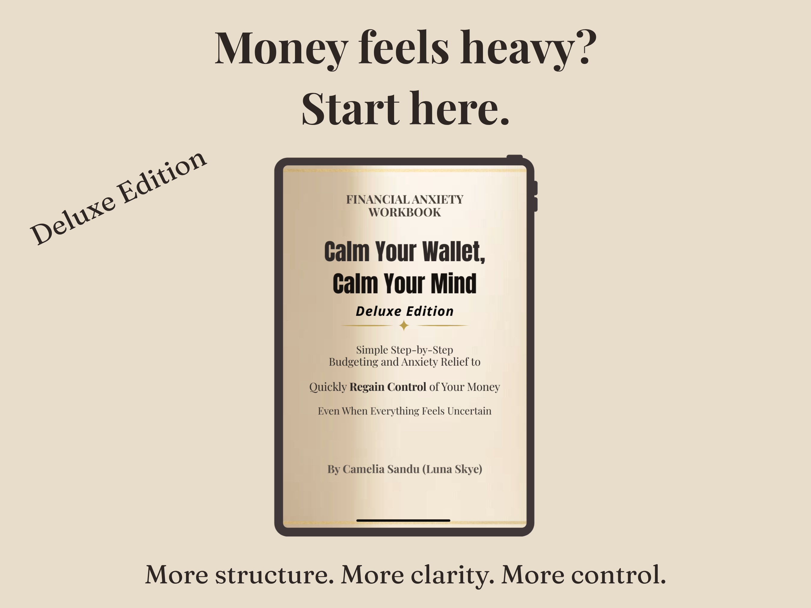 Financial Anxiety Workbook (Deluxe Edition)