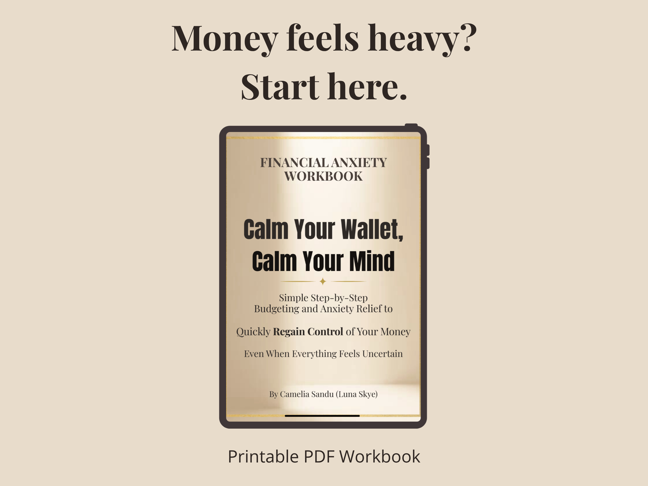Financial Anxiety Workbook. Calm Your Wallet, Calm Your Mind