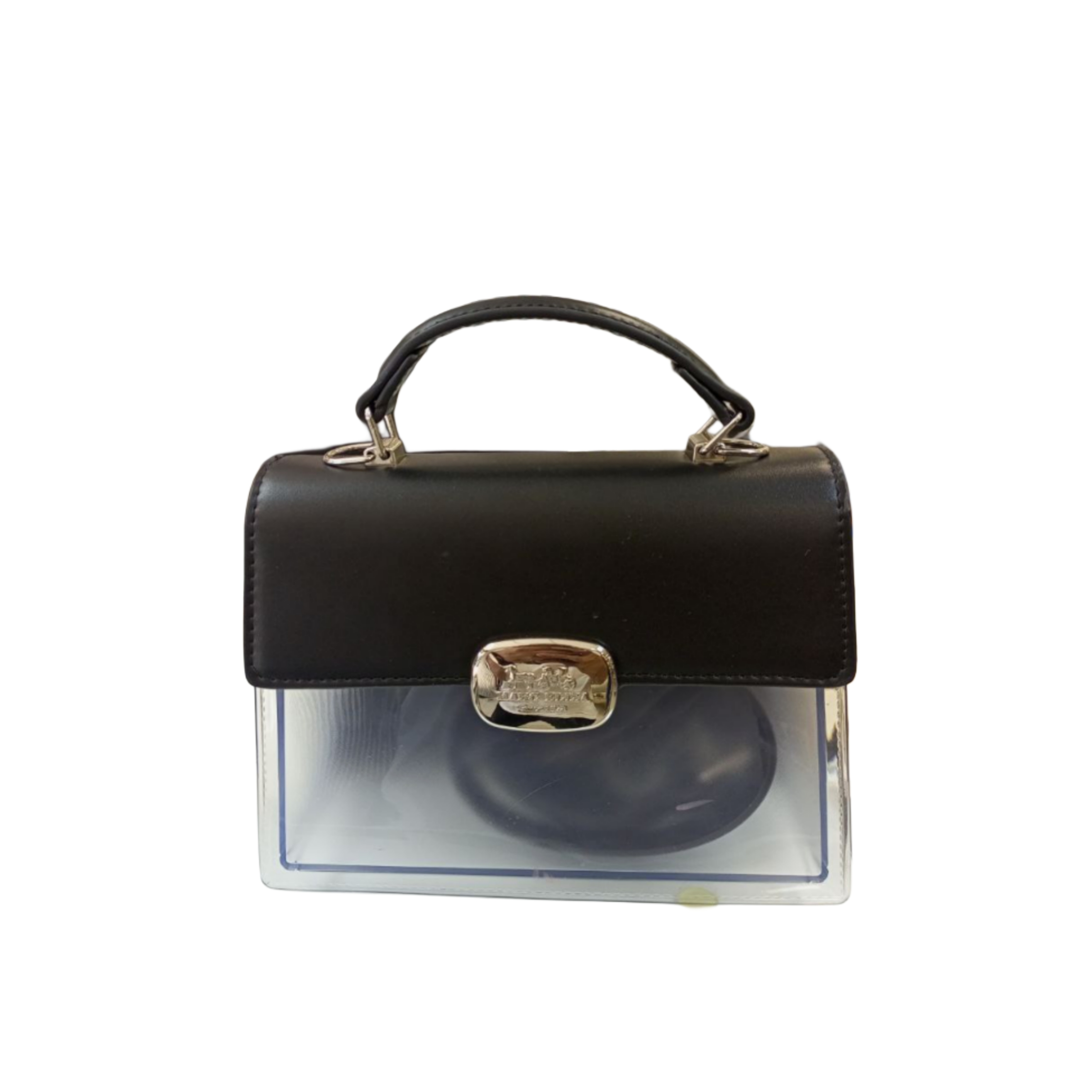 Transparent Handbag with Black Leather Flap