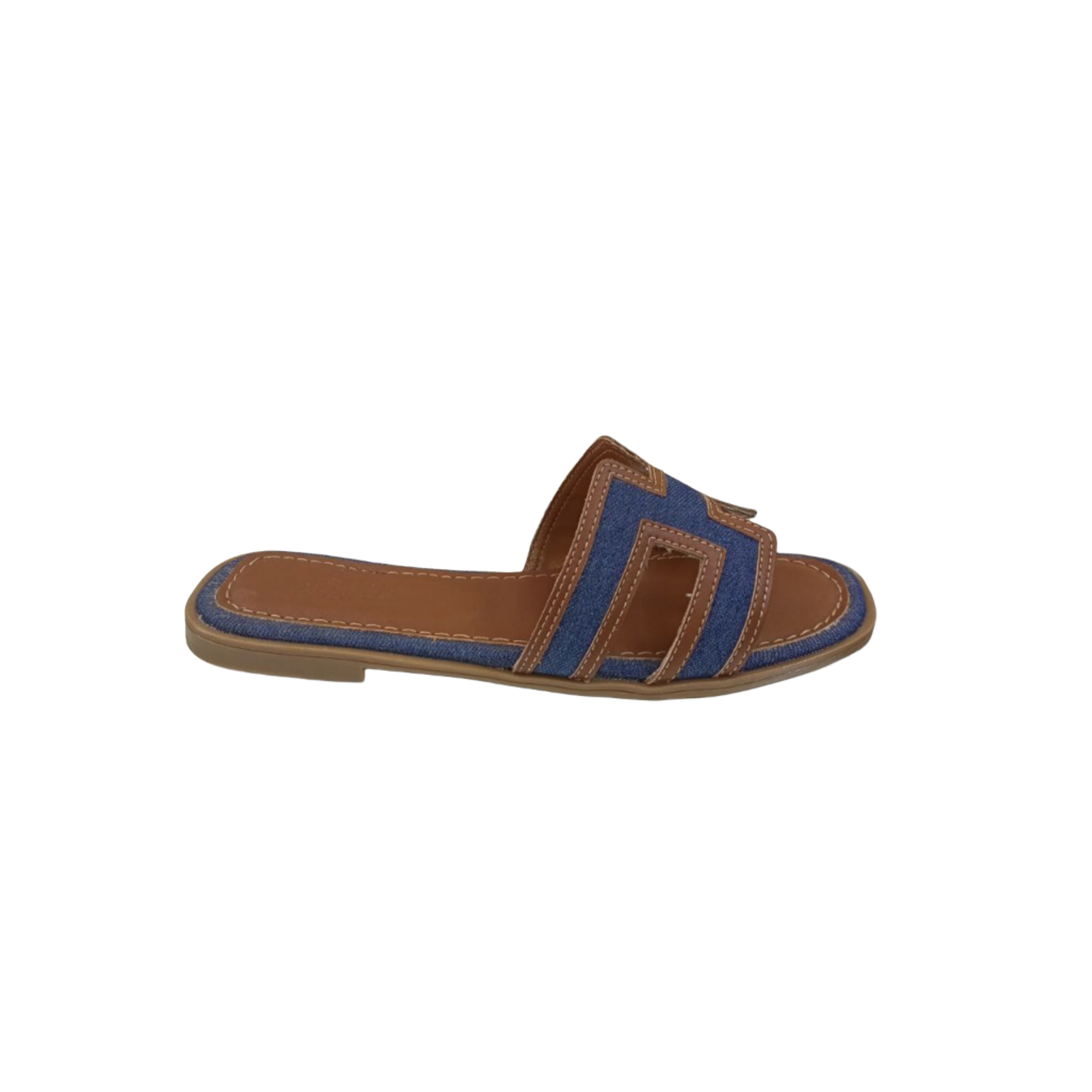 Brown and Blue Flat Slide Sandal