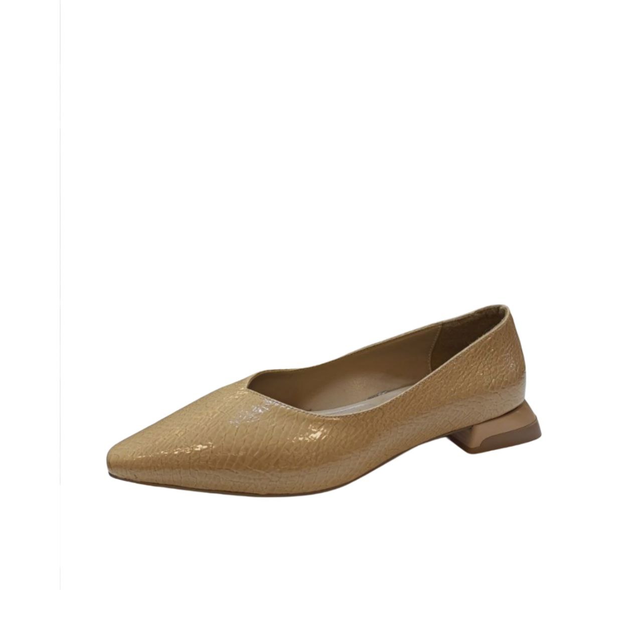 Beige Pointed Toe Flat Shoe