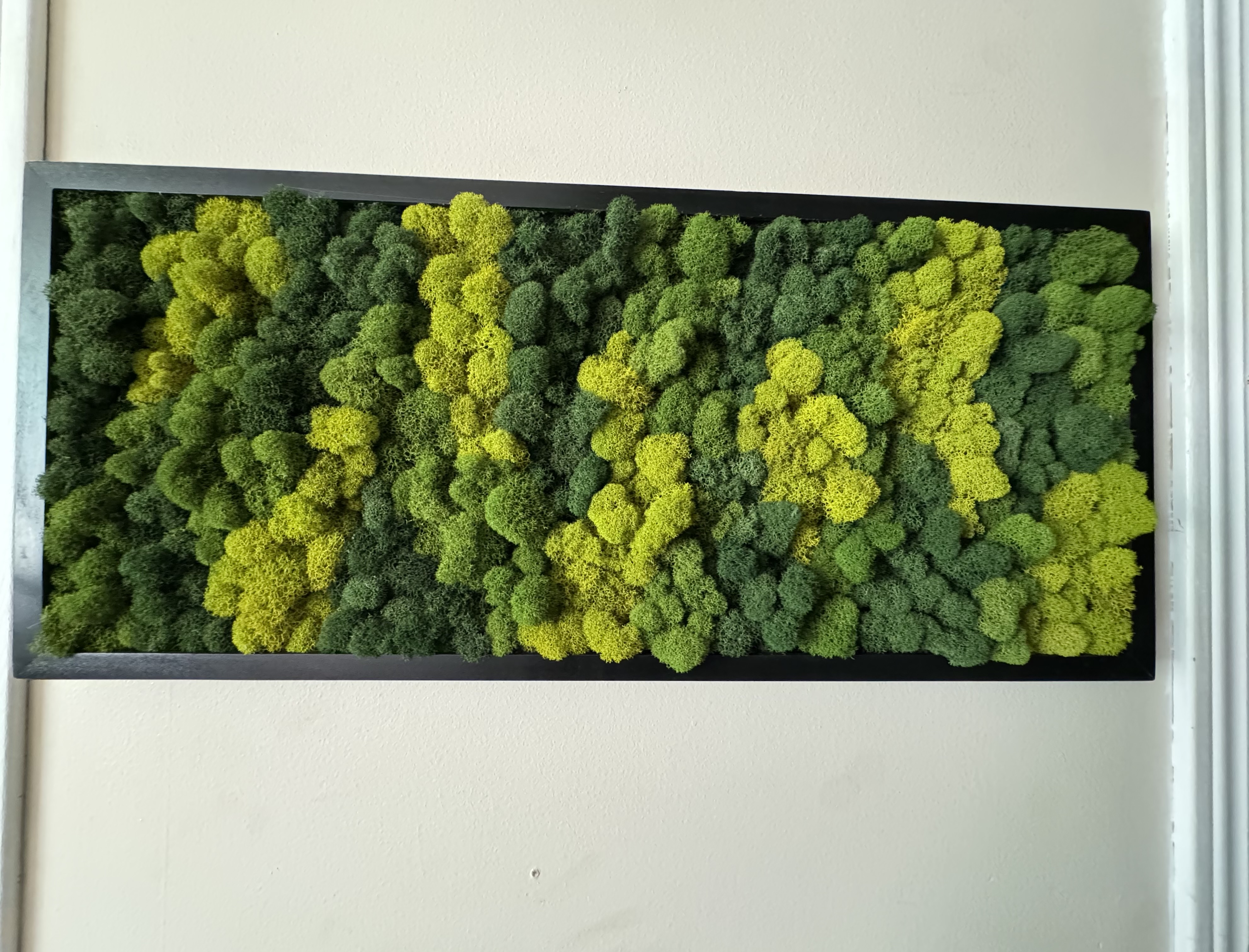 All Shades of Green Moss Wall Panel