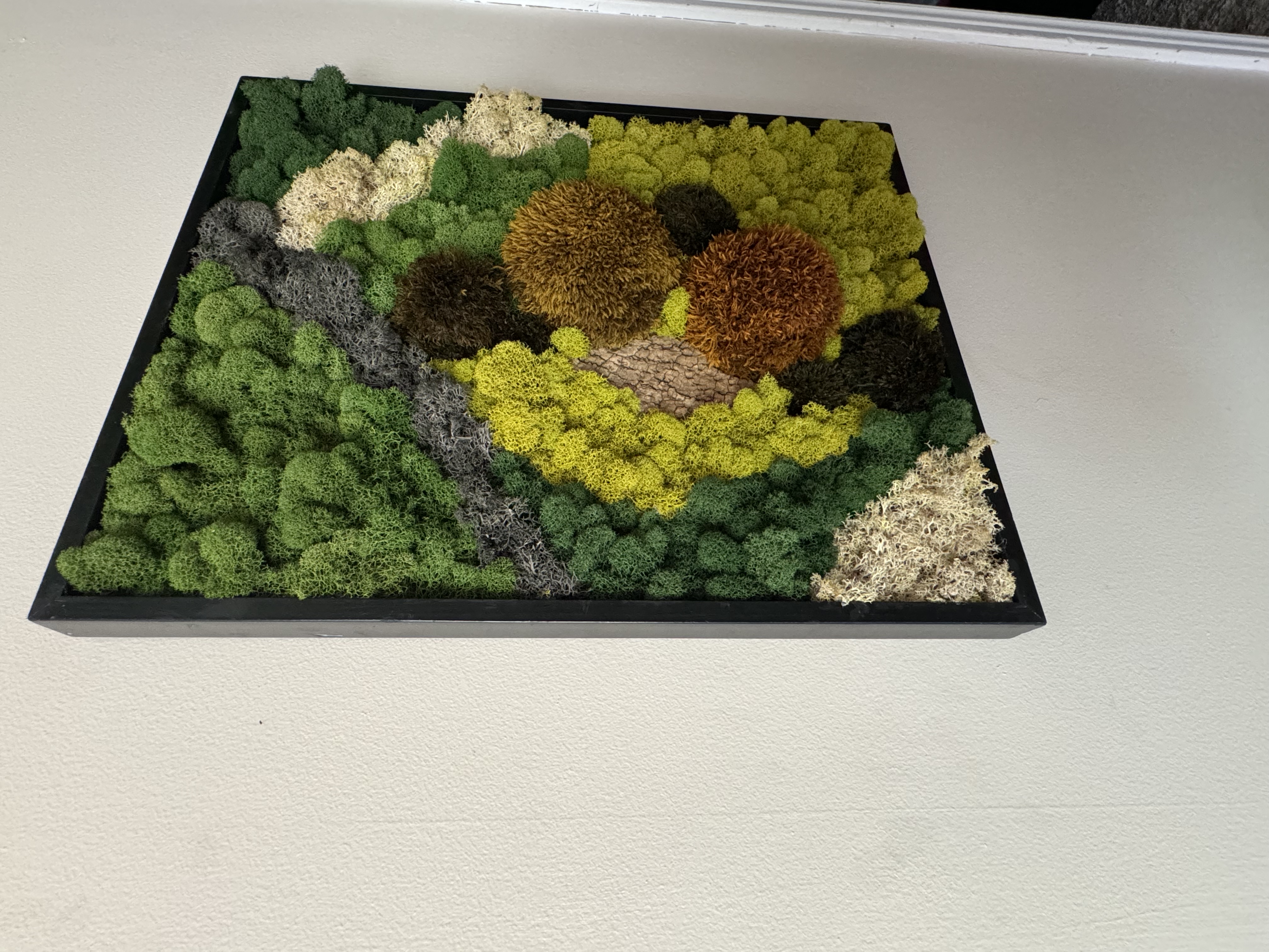 Clean lines meet wild texture - 21×17” statement piece