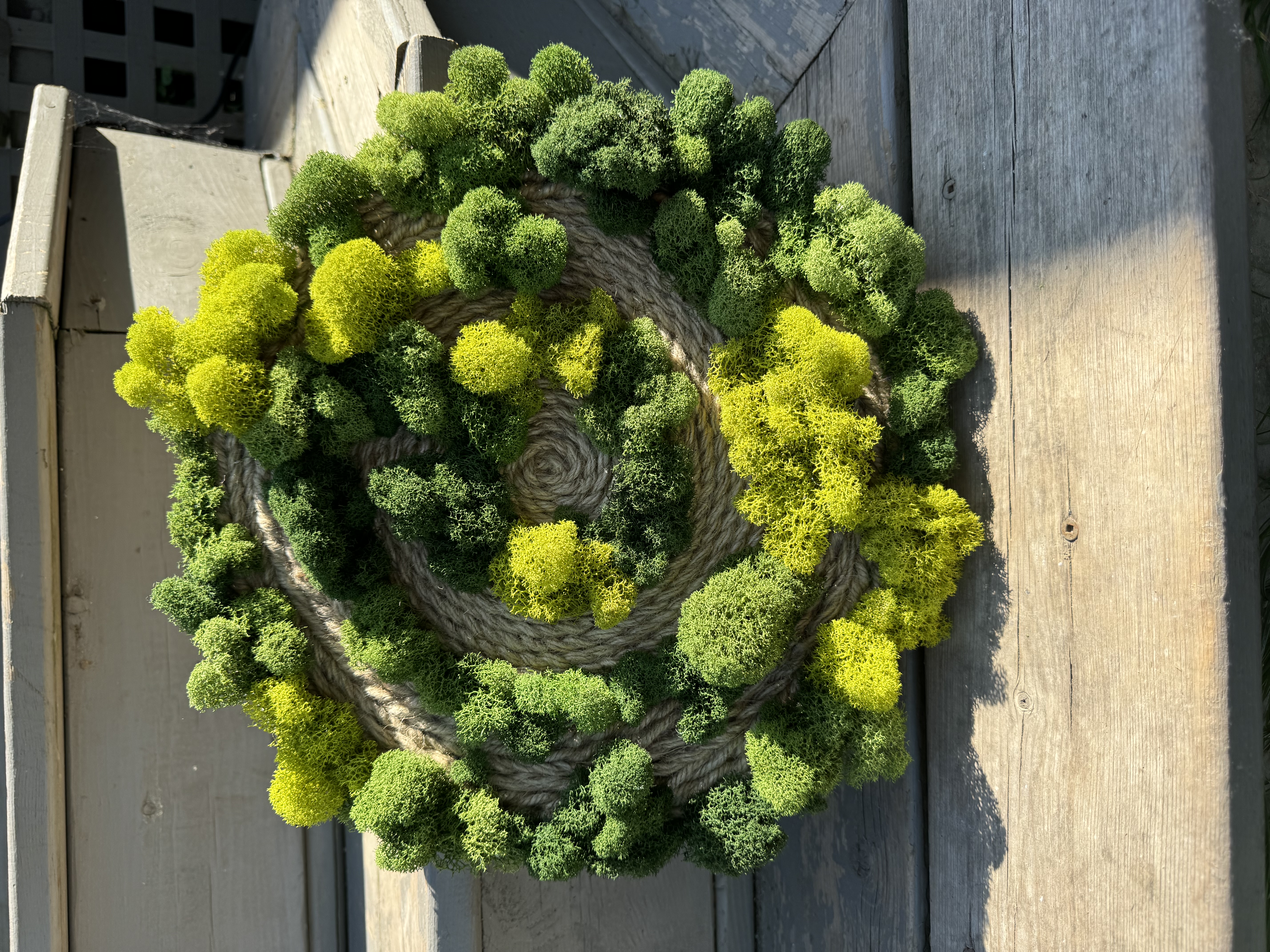 Spiral Forest – Round Preserved Moss Wall Art (12”)