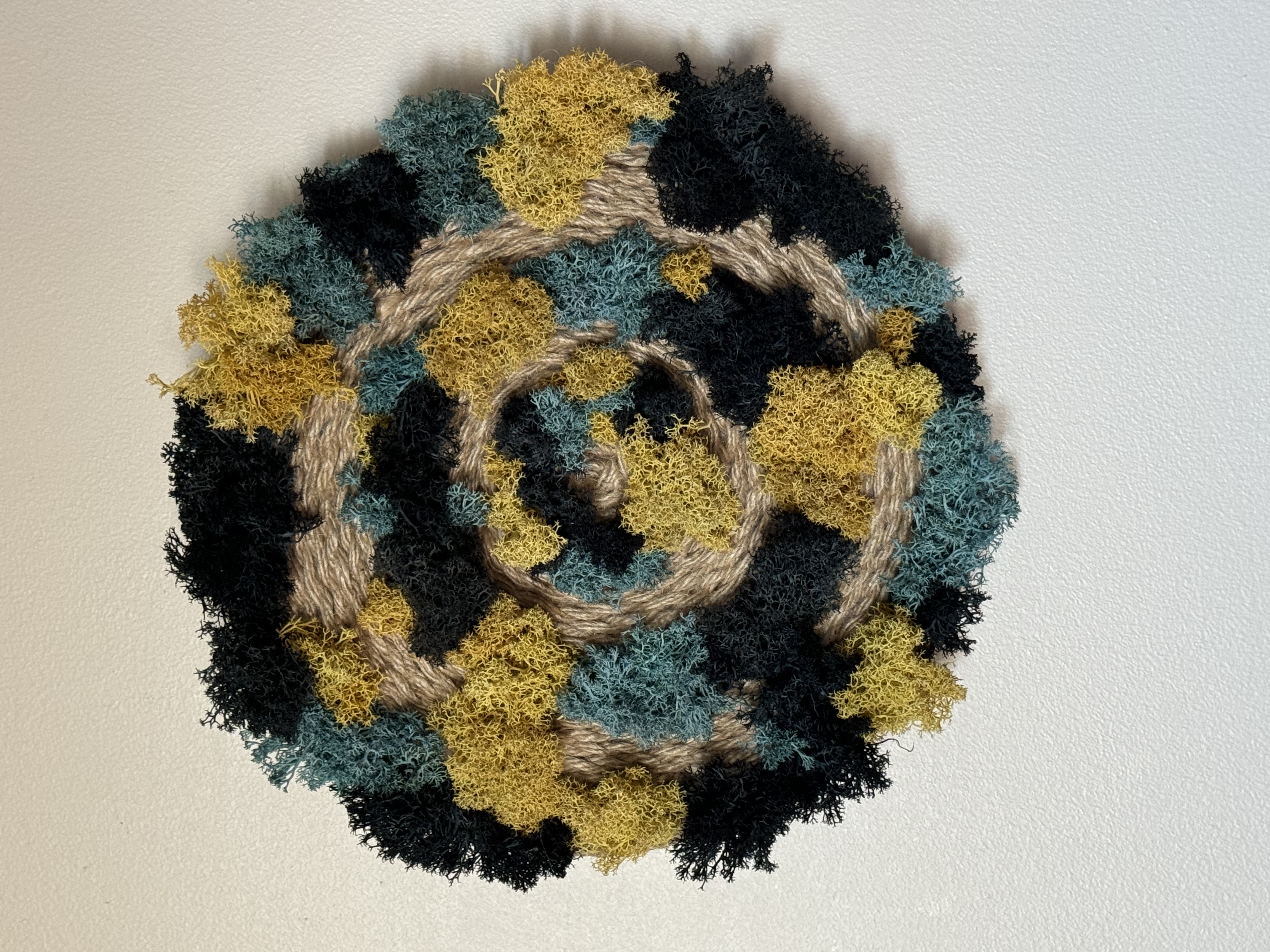 Twilight Spiral – 12″ Round Jute & Preserved Moss Wall Art