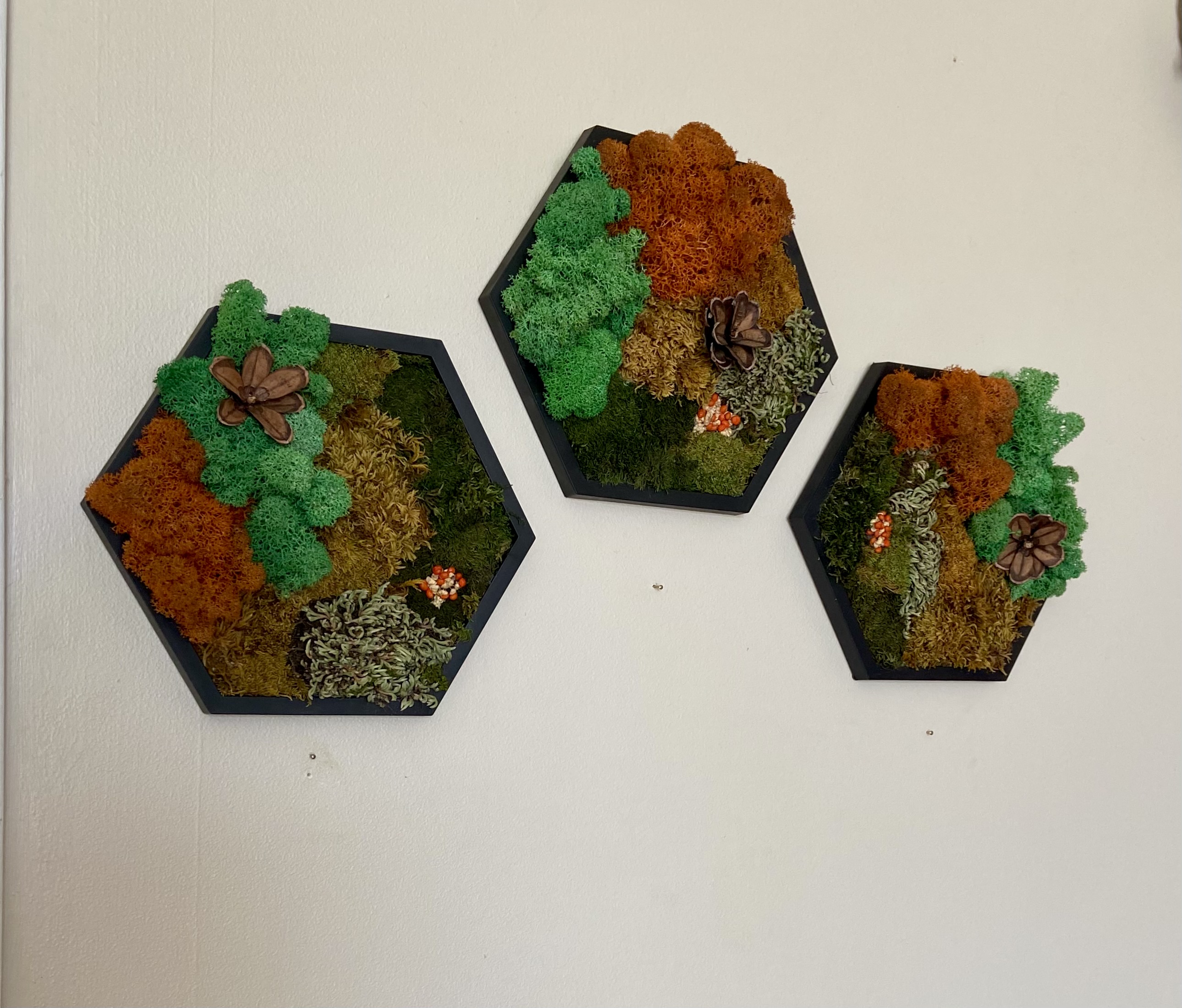 EARTH TONE / AUTUMN MOSS HEXAGON — 5” SIDE
