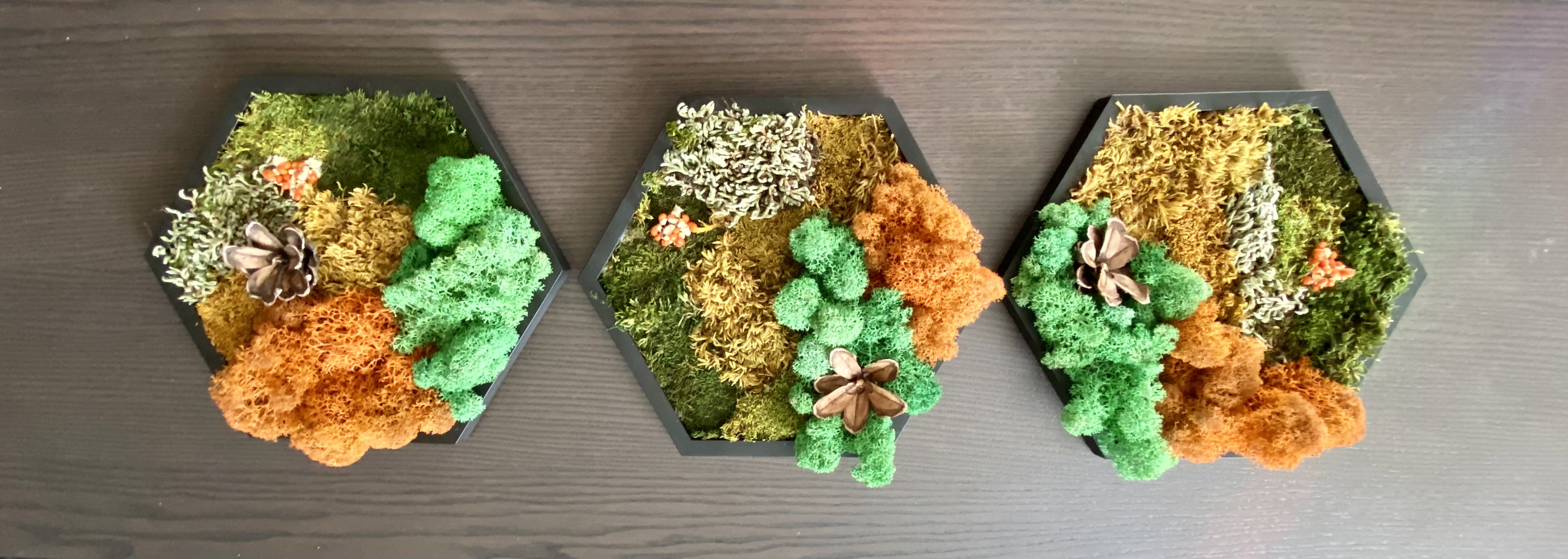 EARTH TONE / AUTUMN MOSS HEXAGON — 5” SIDE