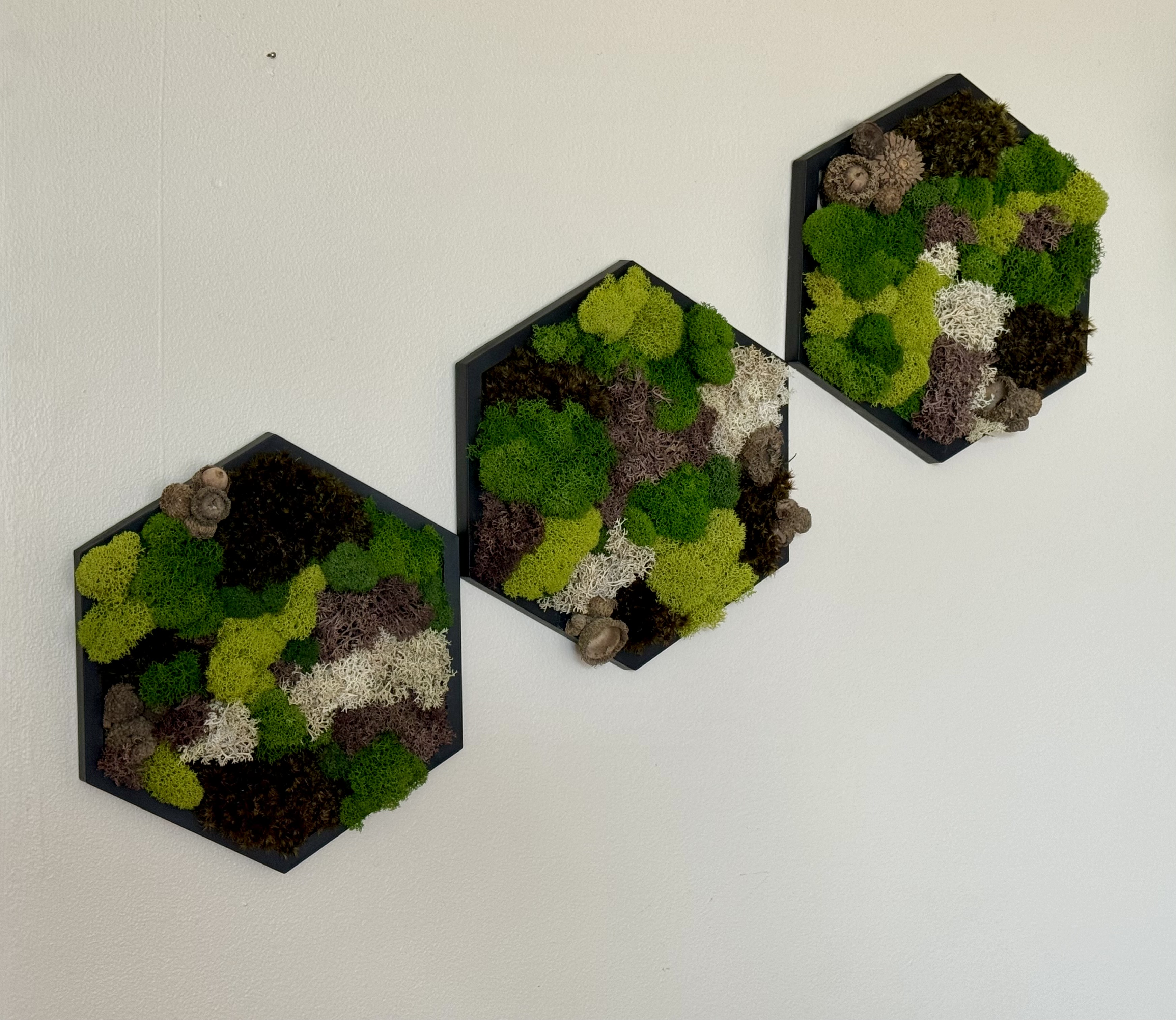 GREEN PATCHWORK PRESERVED MOSS HEXAGON — 5″ Side