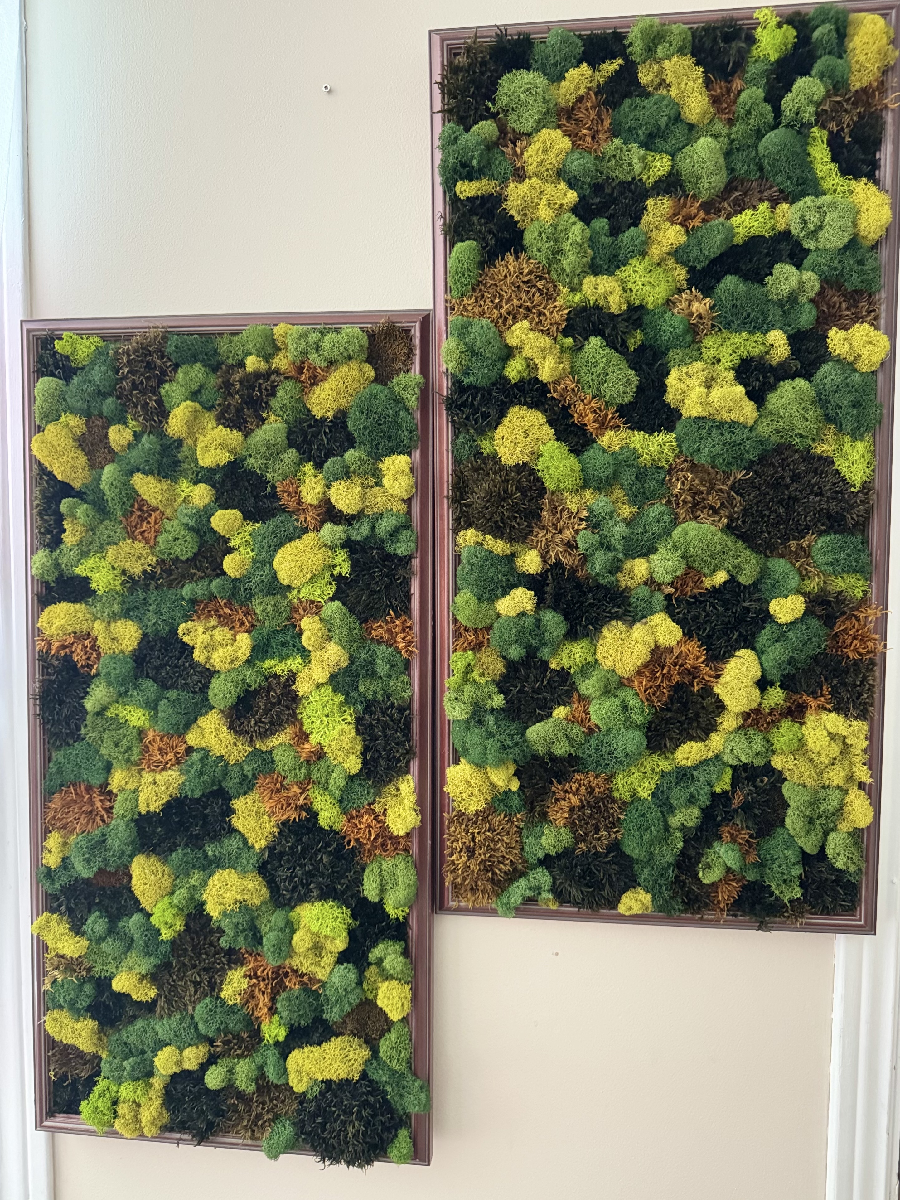 Decorative Moss Wall Art Panels