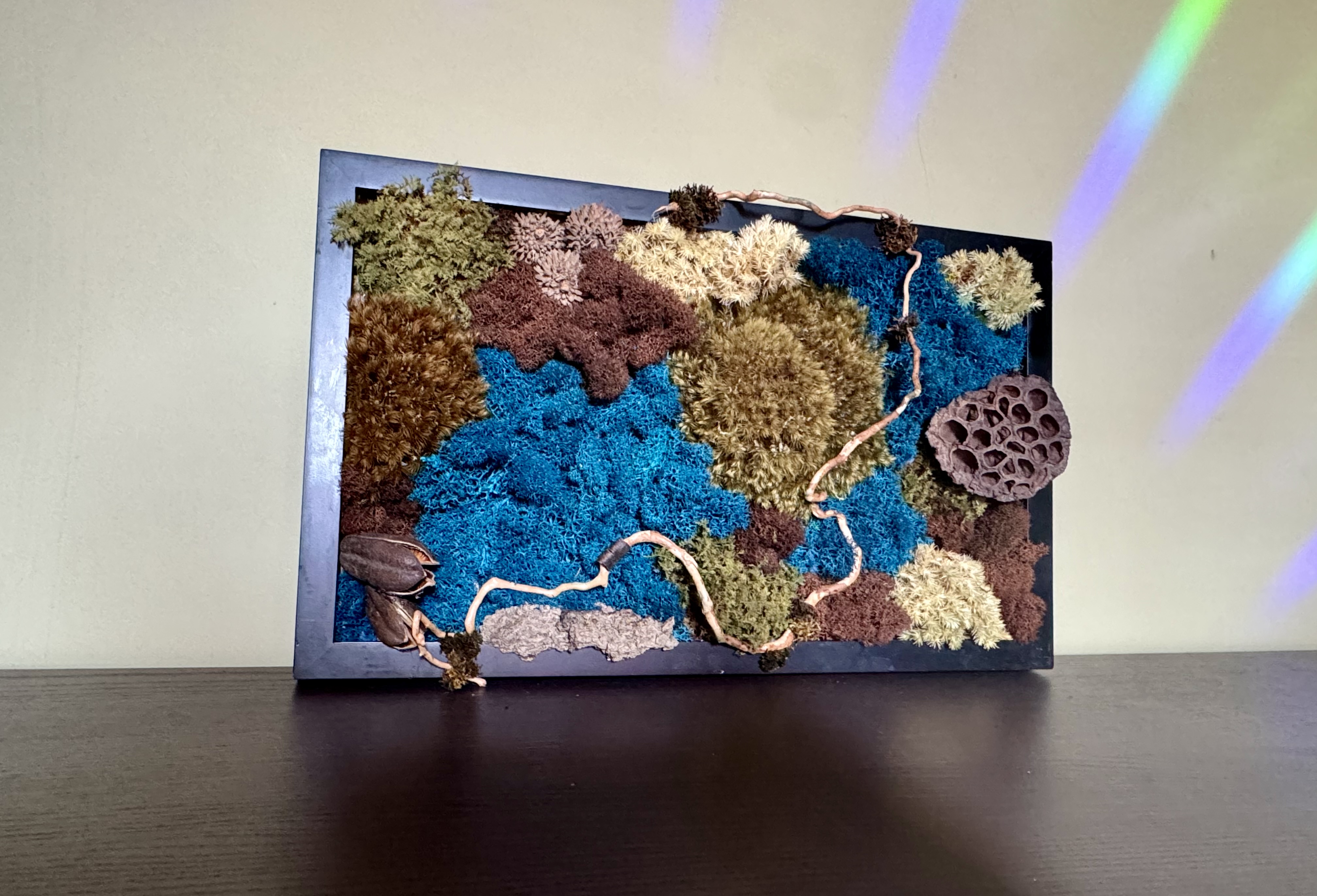 18×11″ Preserved Moss Art 'Ocean Depths'