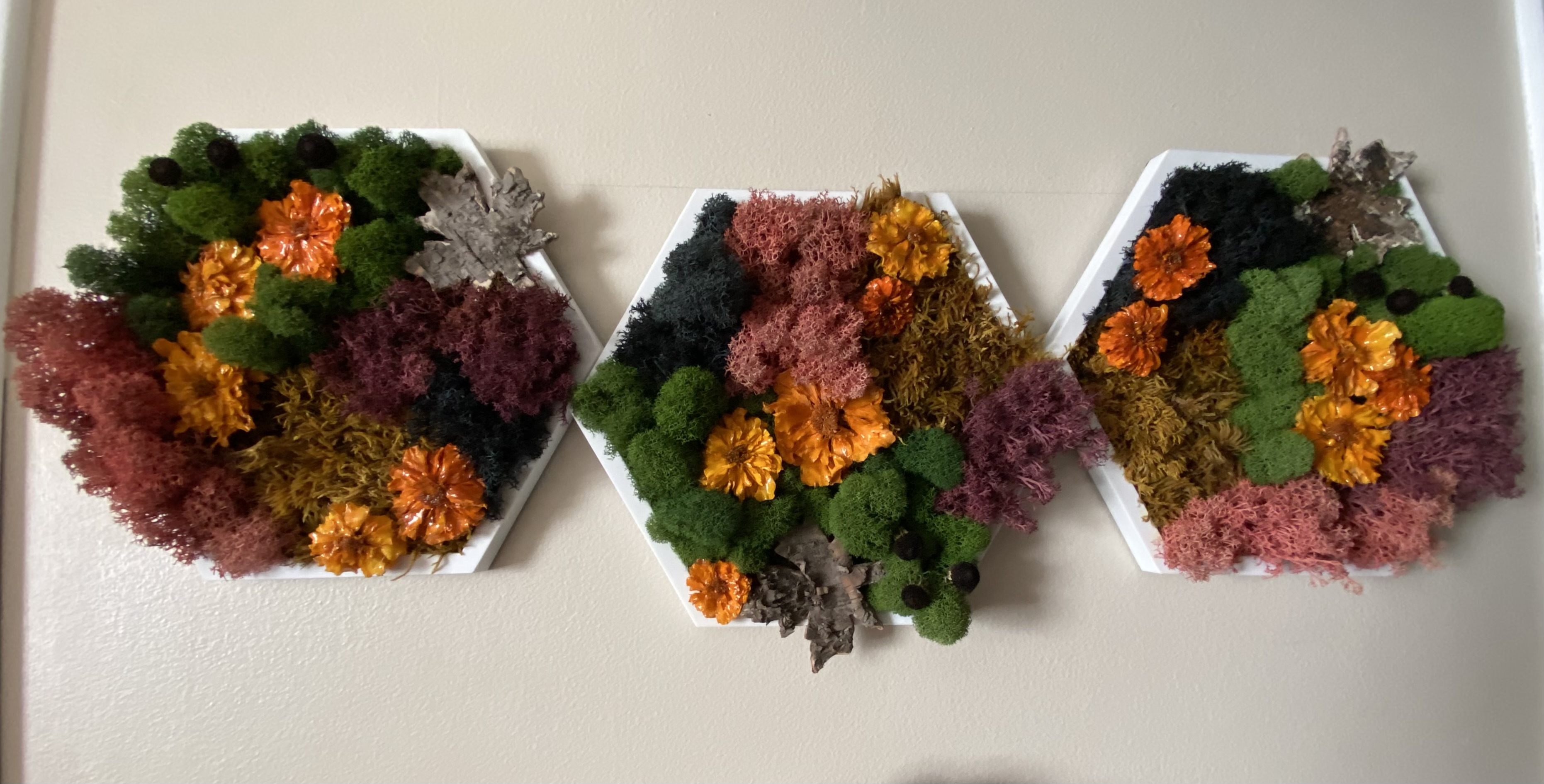 HARVEST BLOOM — PRESERVED MOSS HEXAGON  (5” SIDE)