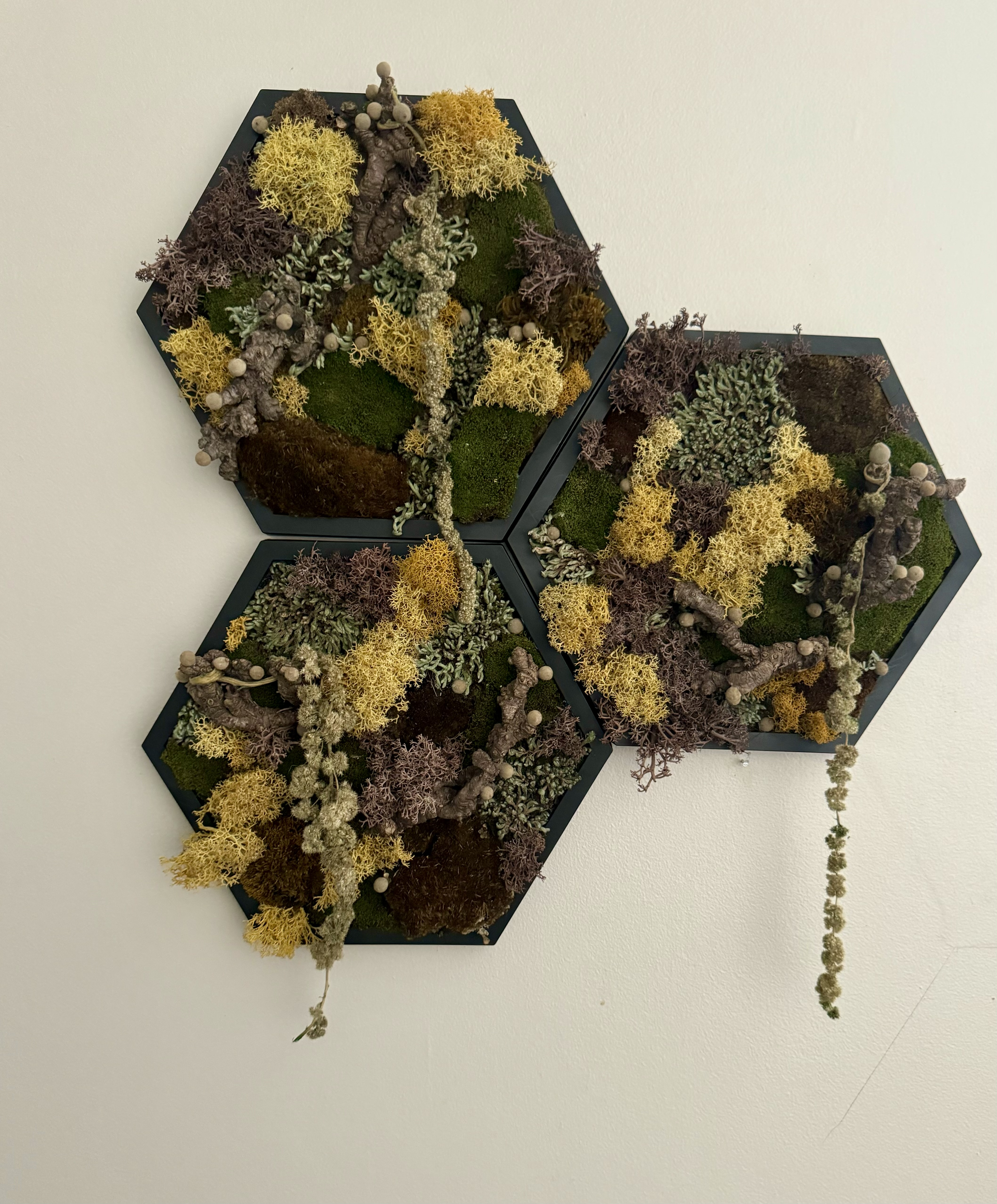 UNFETTERED NATURE MATRIX MOSS HEXAGON (5” SIDE)