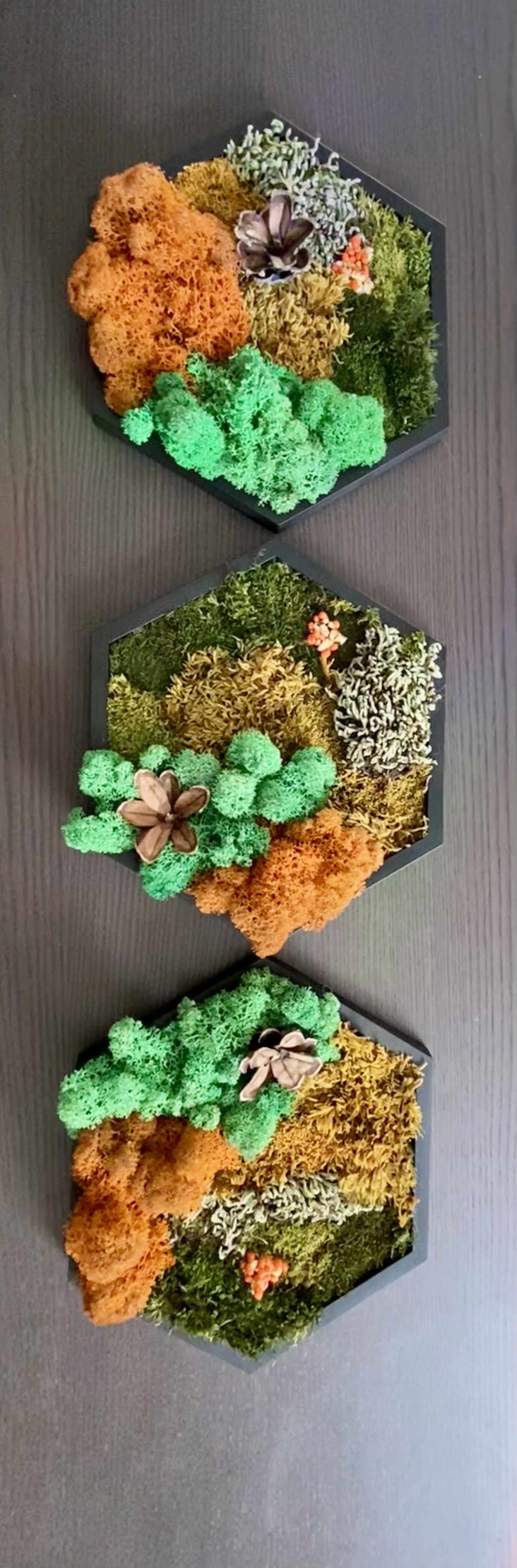 EARTH TONE / AUTUMN MOSS HEXAGON — 5” SIDE