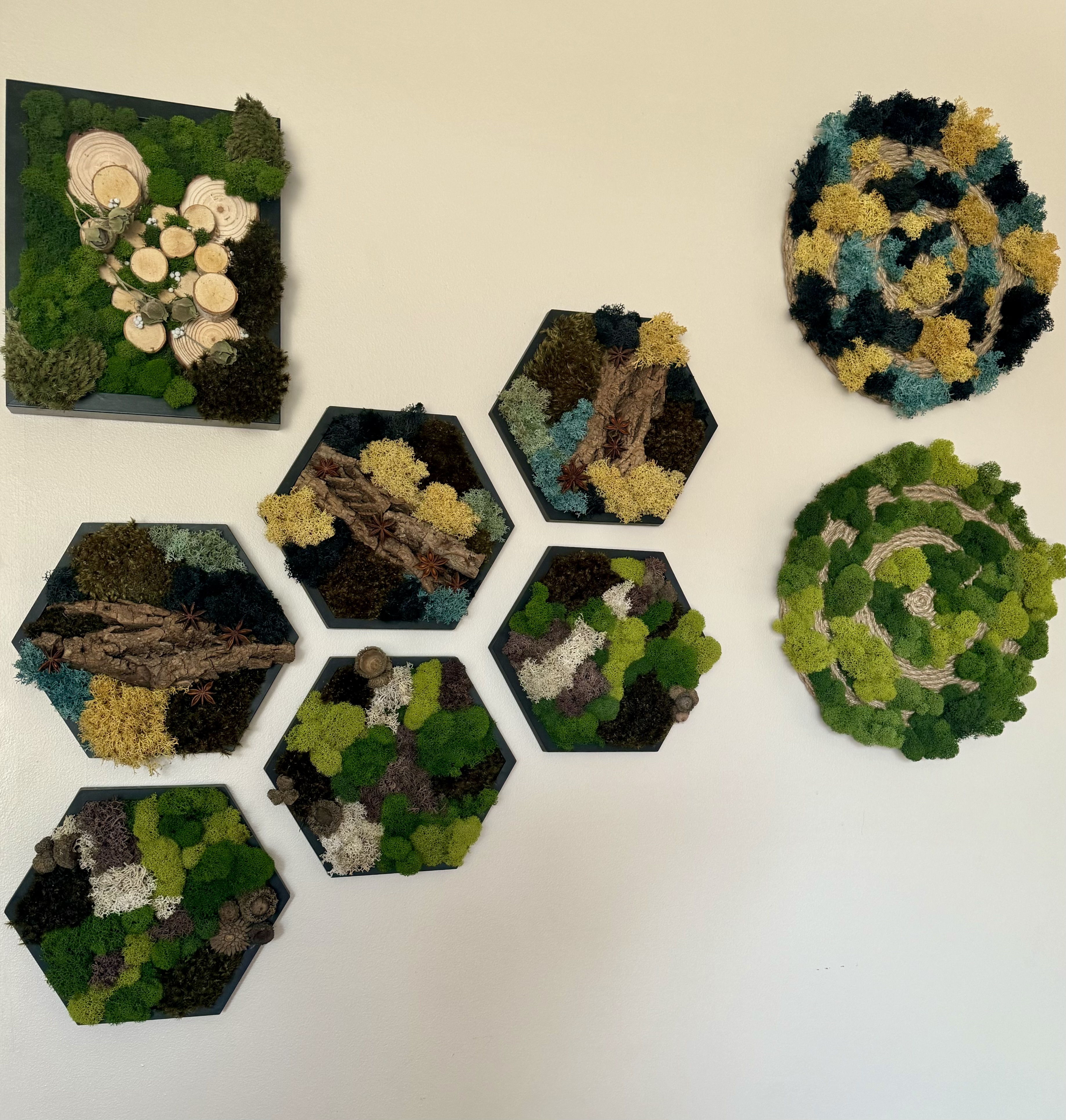 GREEN PATCHWORK PRESERVED MOSS HEXAGON — 5″ Side