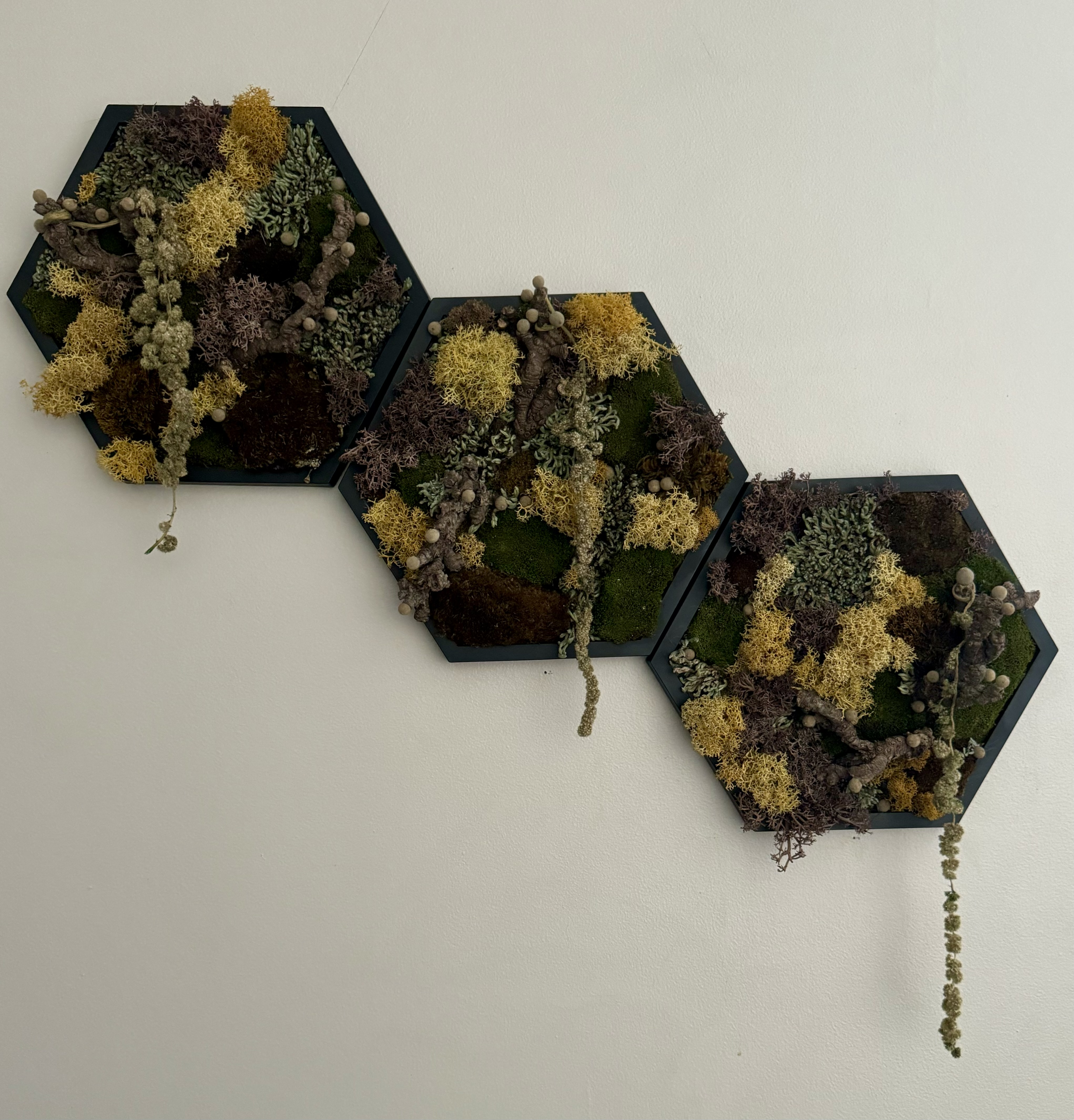 UNFETTERED NATURE MATRIX MOSS HEXAGON (5” SIDE)