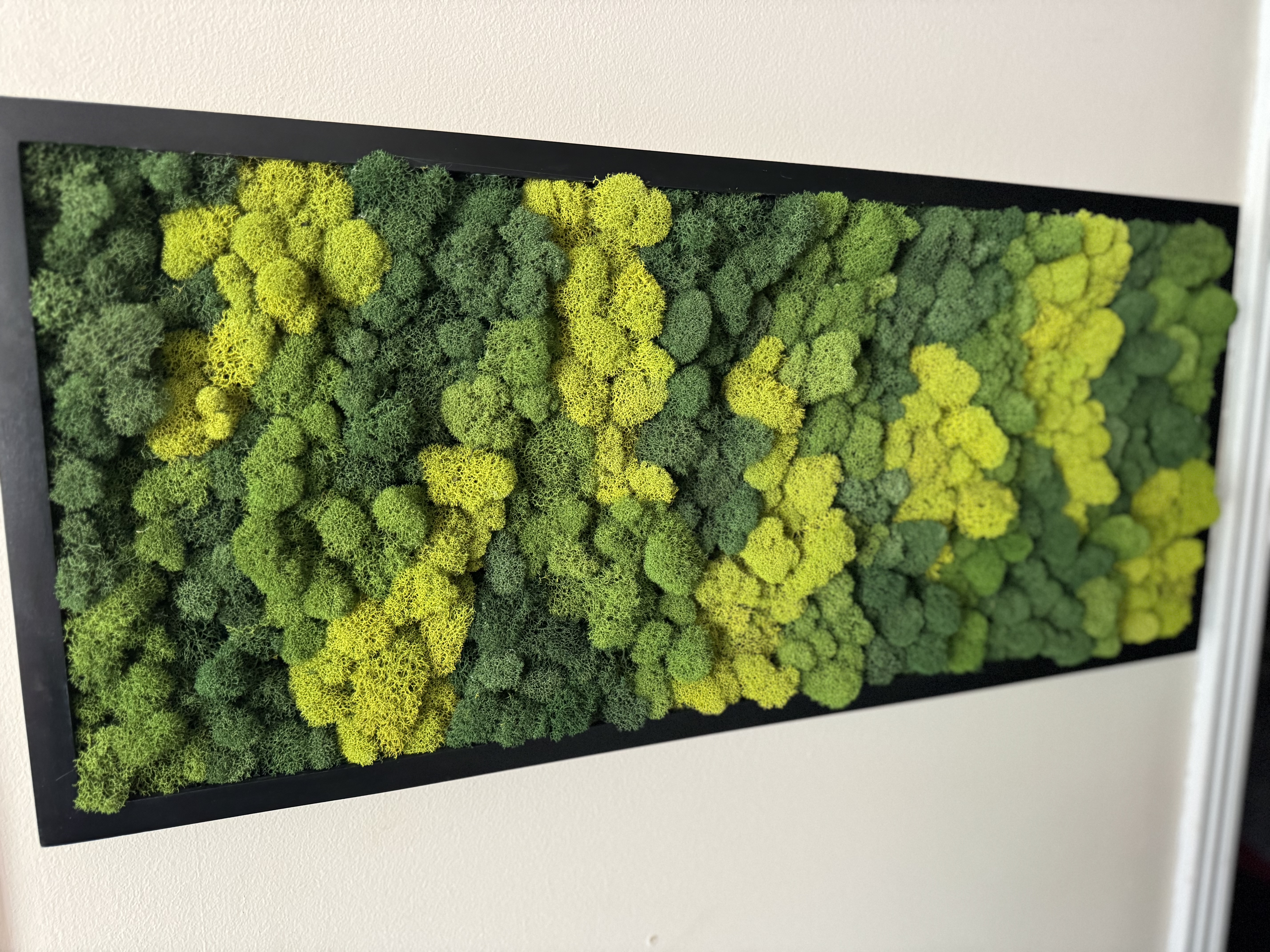 All Shades of Green Moss Wall Panel
