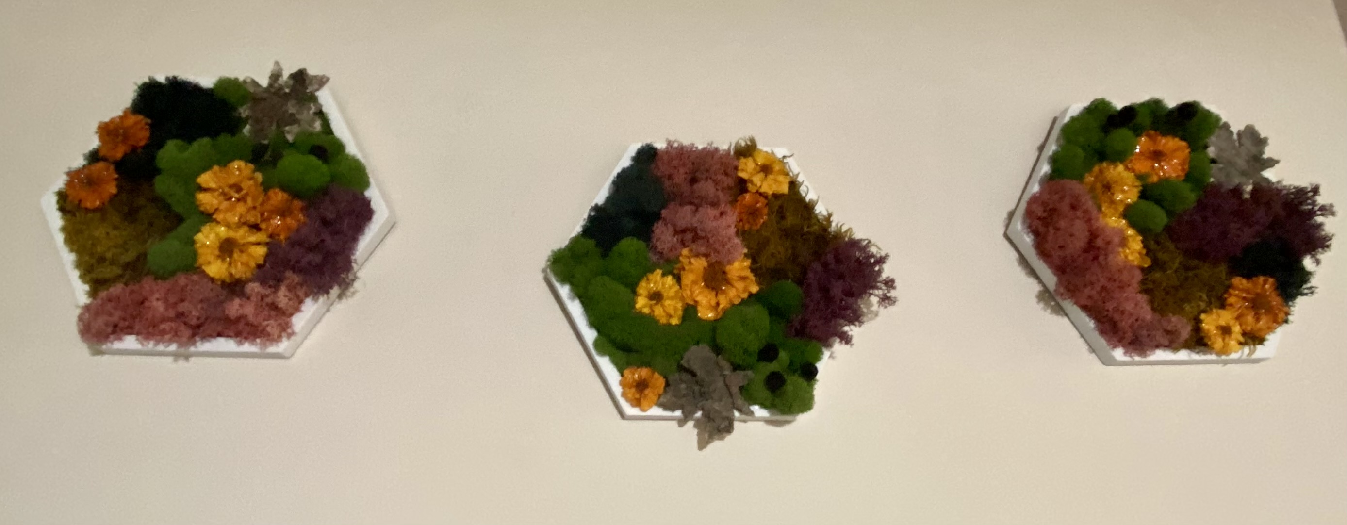 HARVEST BLOOM — PRESERVED MOSS HEXAGON  (5” SIDE)