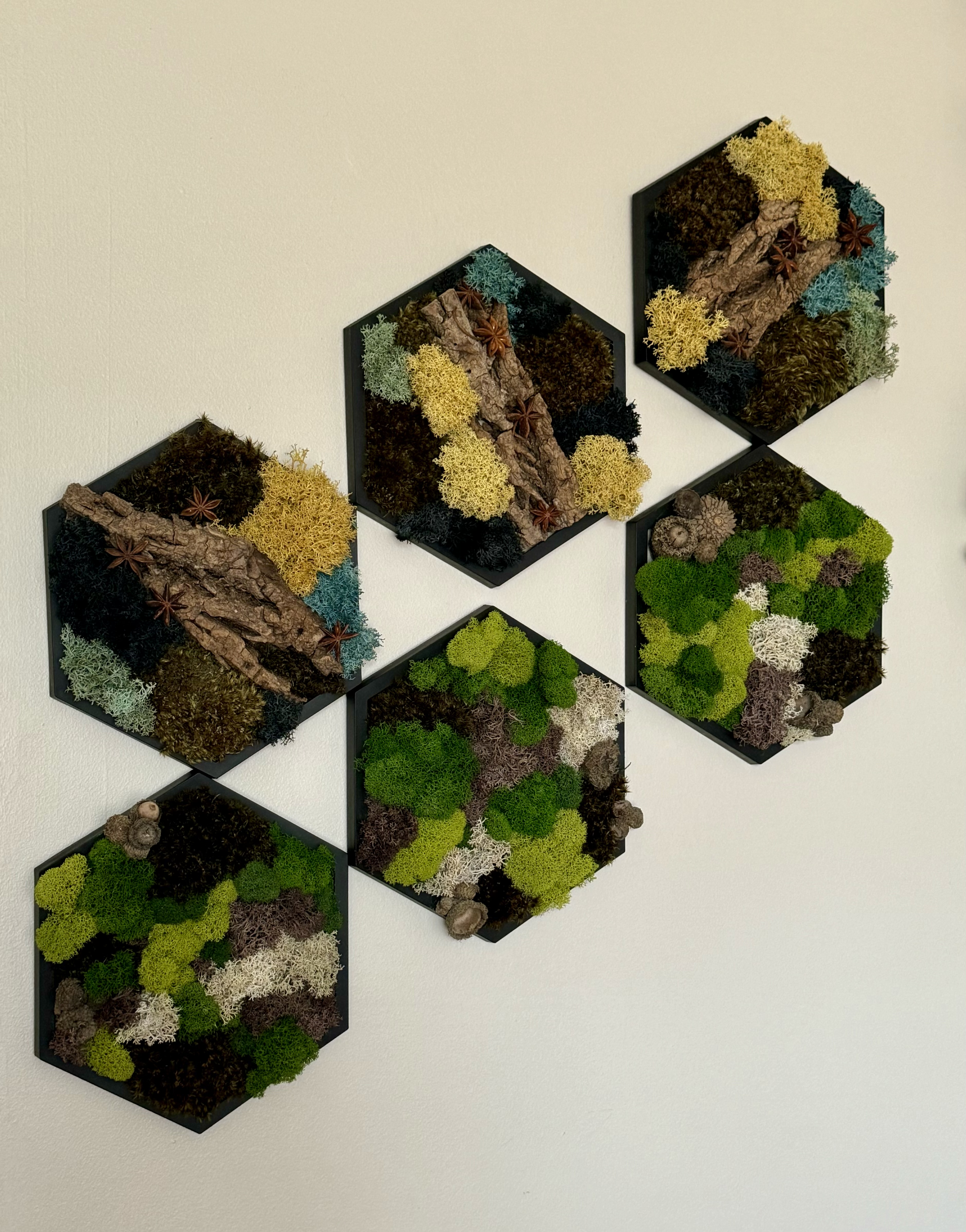 GREEN PATCHWORK PRESERVED MOSS HEXAGON — 5″ Side