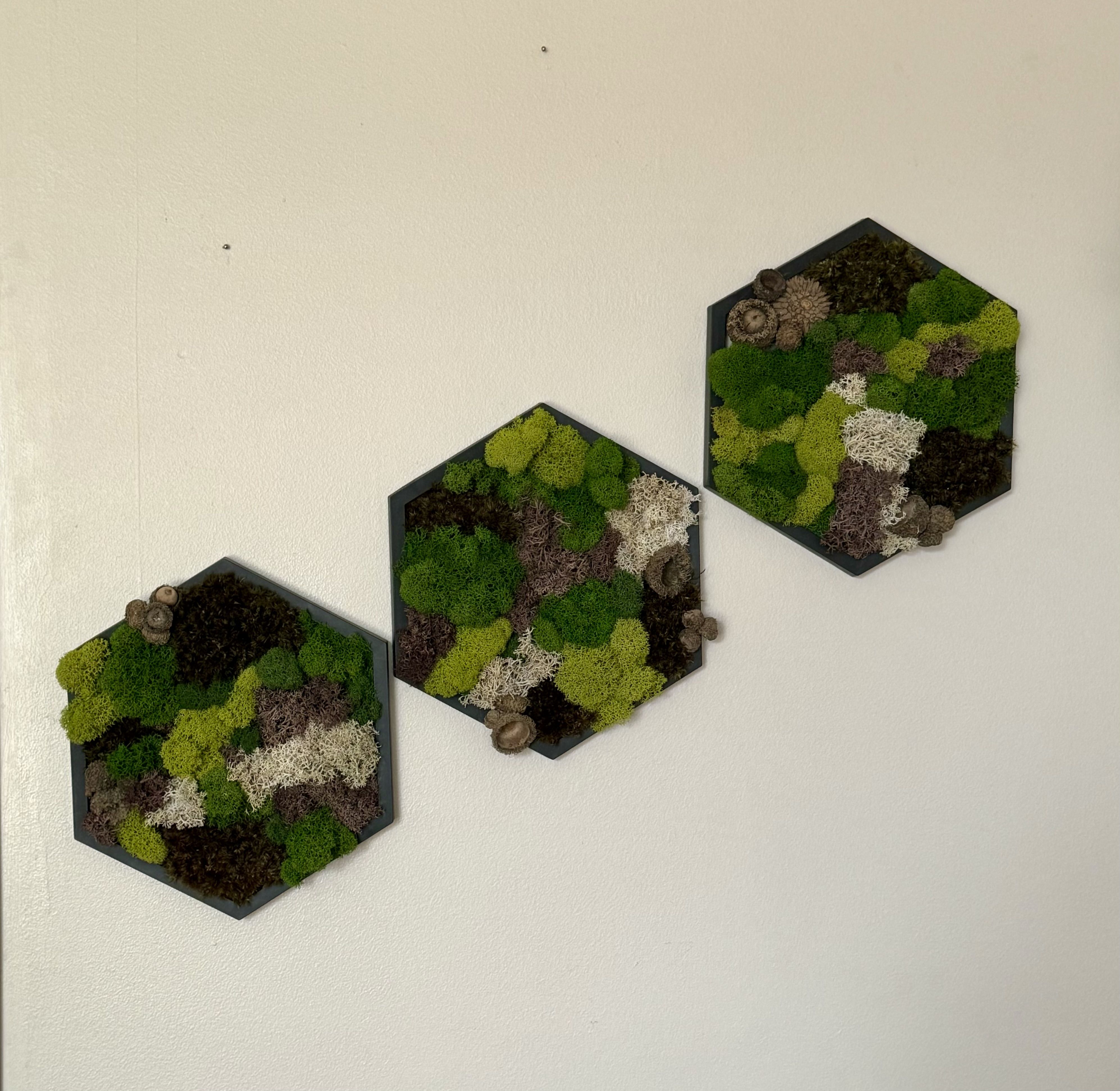 GREEN PATCHWORK PRESERVED MOSS HEXAGON — 5″ Side