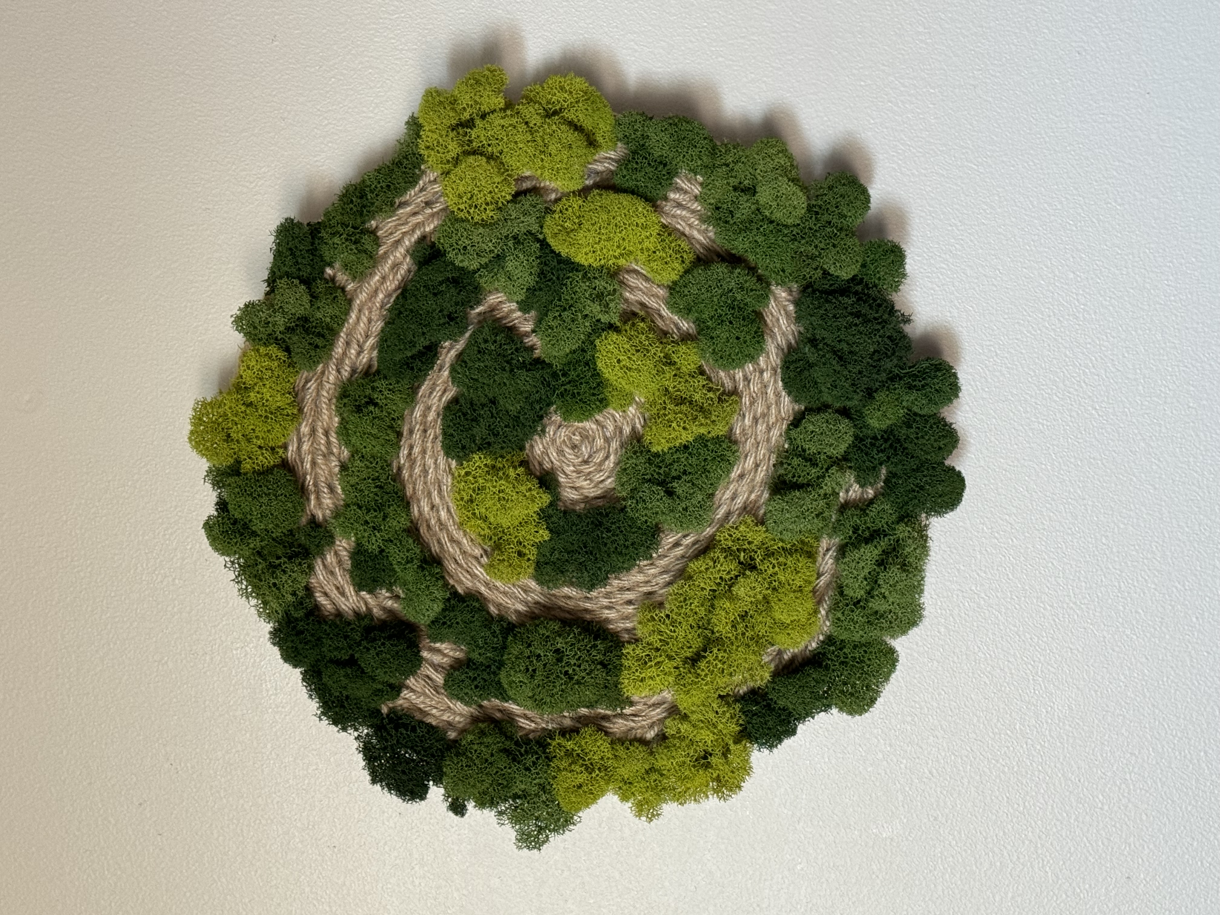 Spiral Forest – Round Preserved Moss Wall Art (12”)