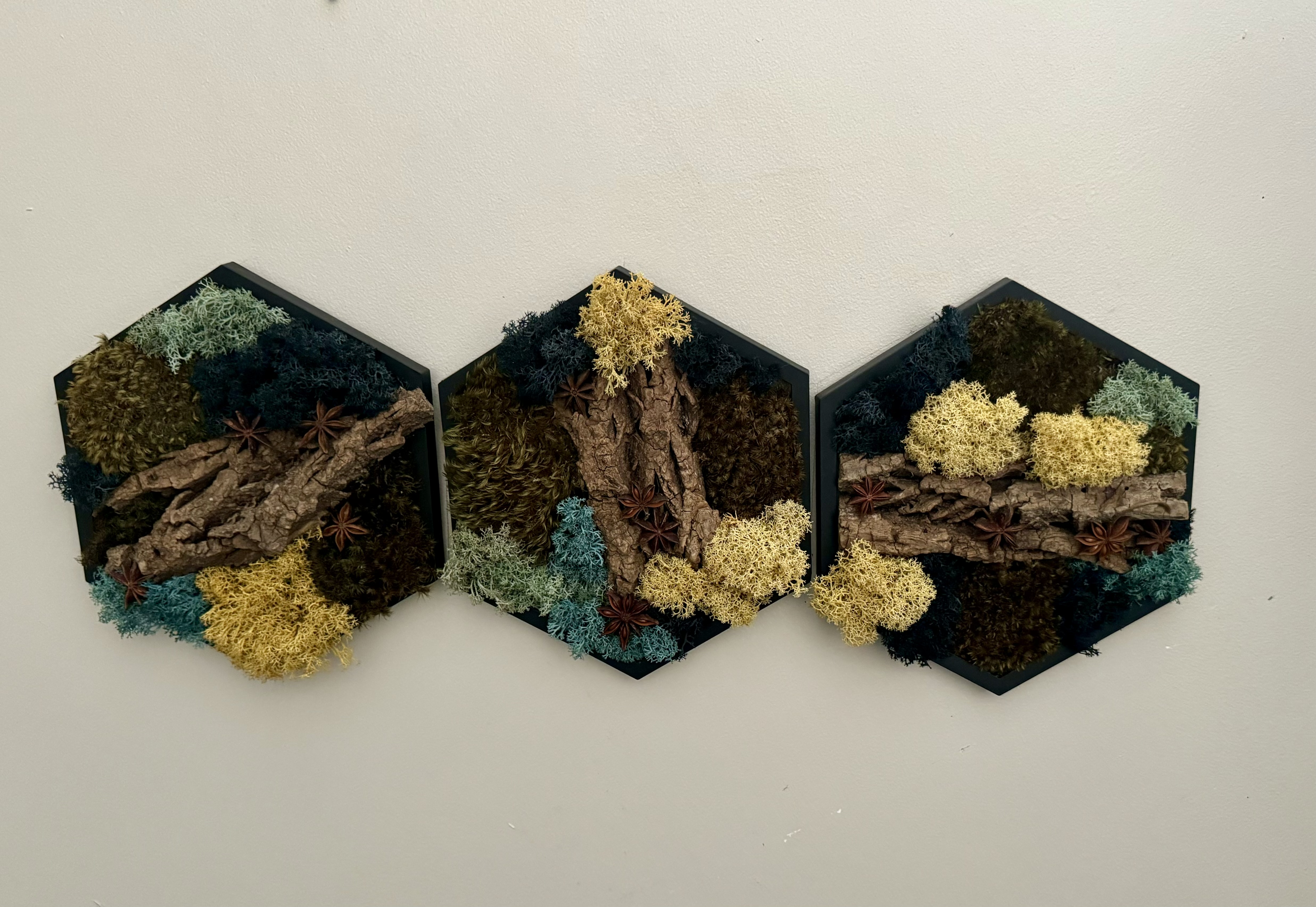 MOSS · BARK · ANISE PRESERVED MOSS HEXAGONS— 5″ Side