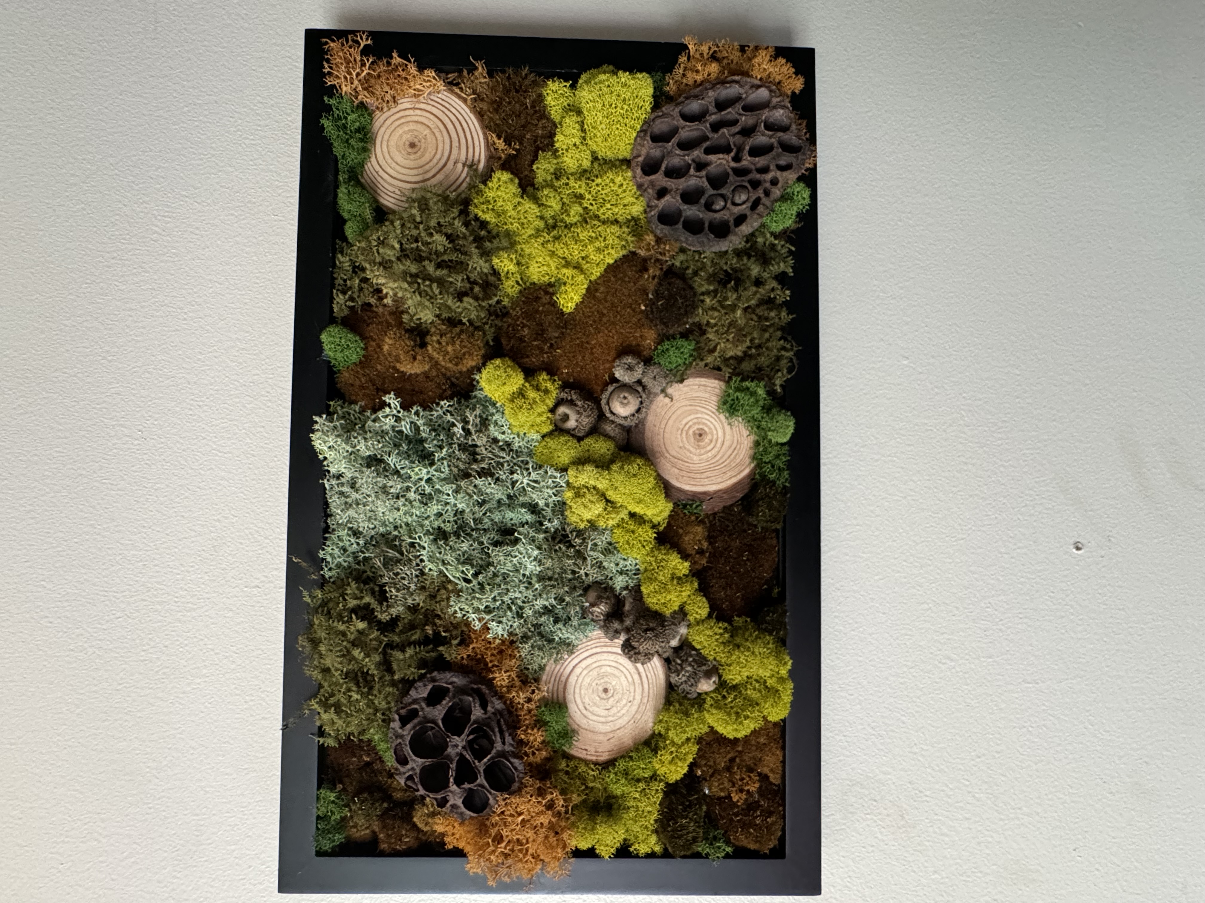 Moss Art Wall Decor – 18 × 11 in. — After the Rain
