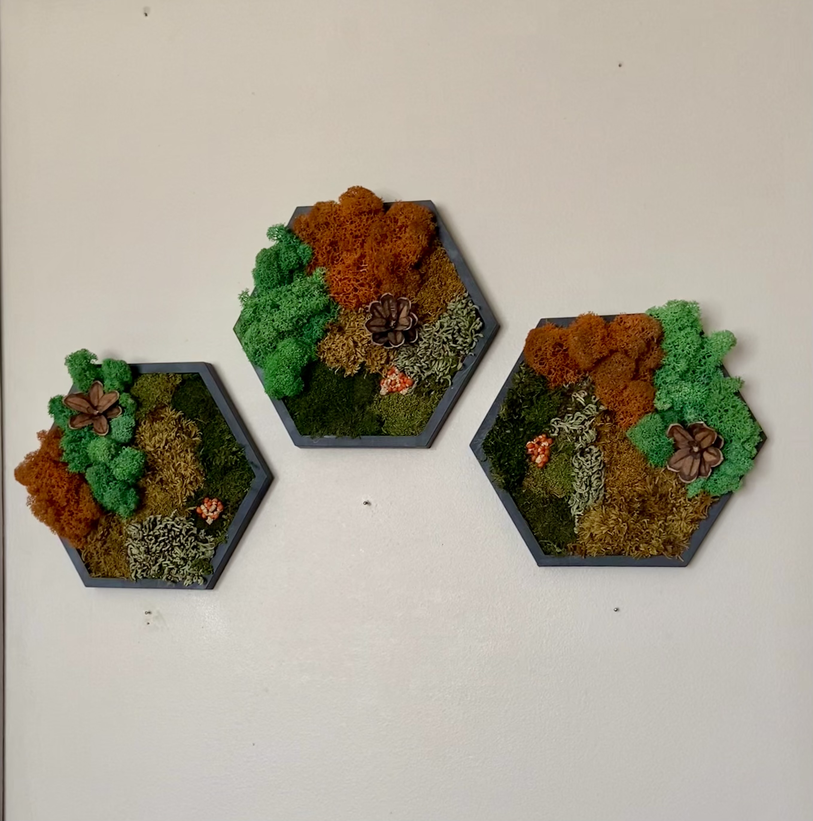 EARTH TONE / AUTUMN MOSS HEXAGON — 5” SIDE