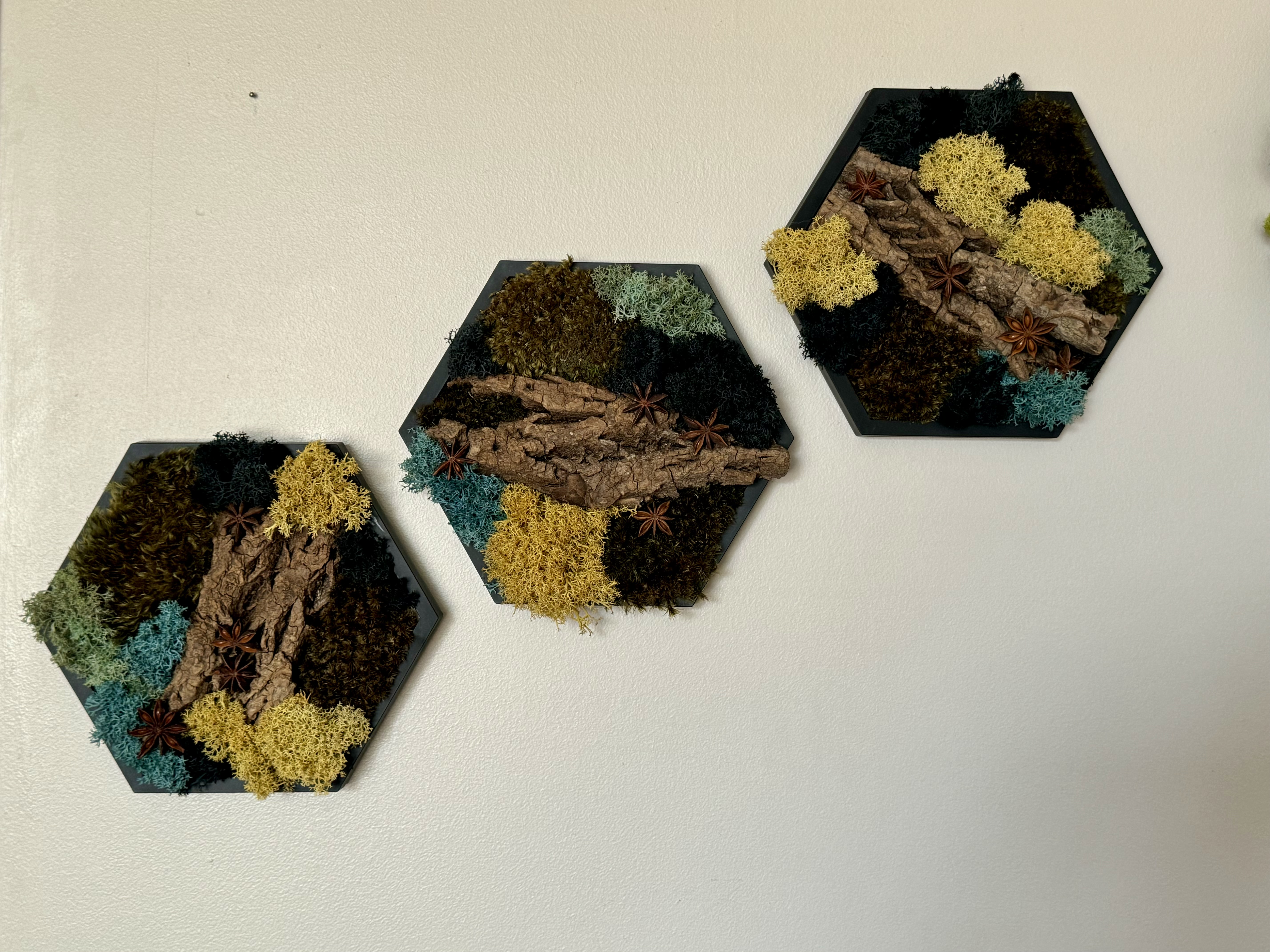 MOSS · BARK · ANISE PRESERVED MOSS HEXAGONS— 5″ Side