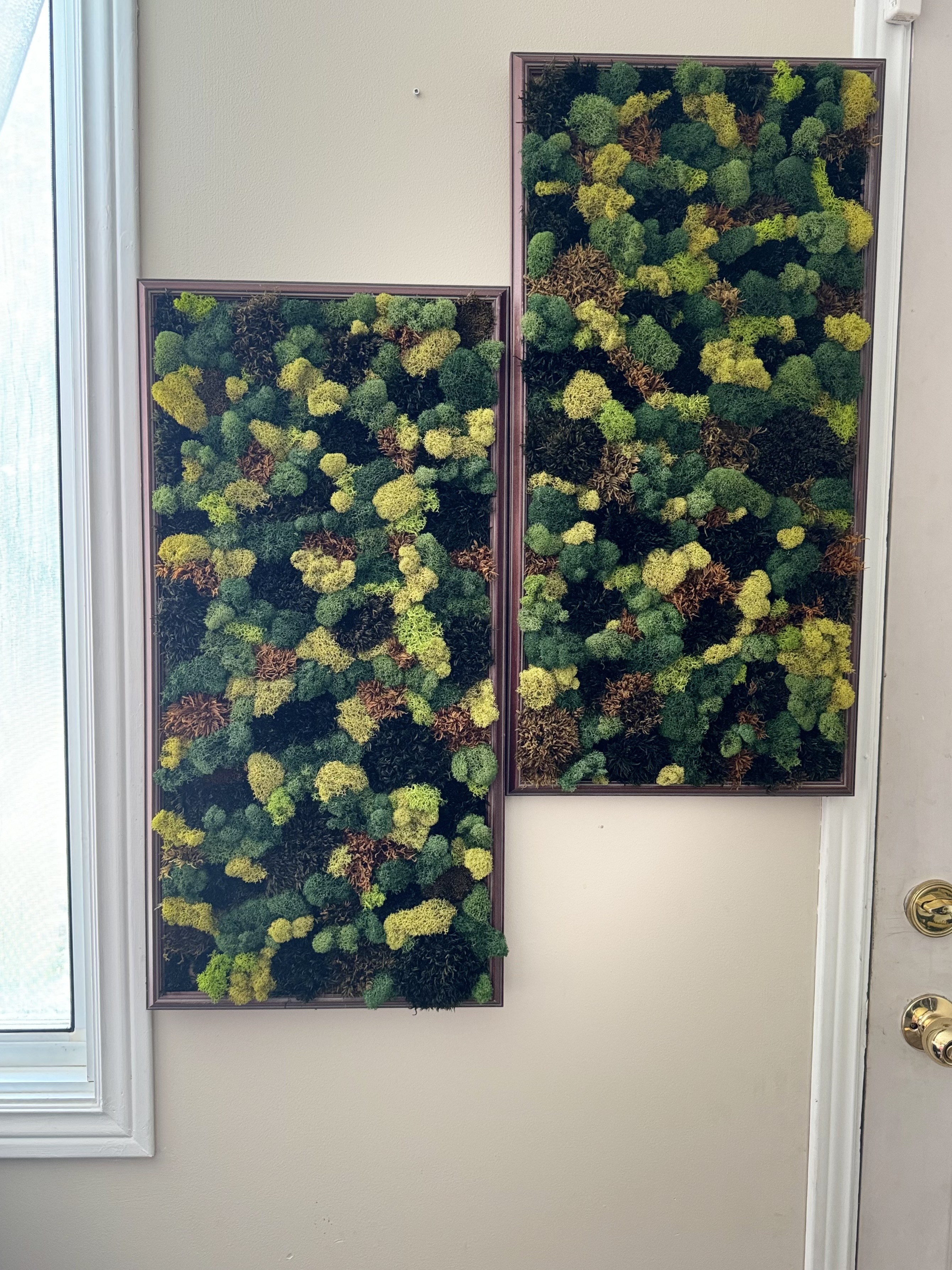 Decorative Moss Wall Art Panels