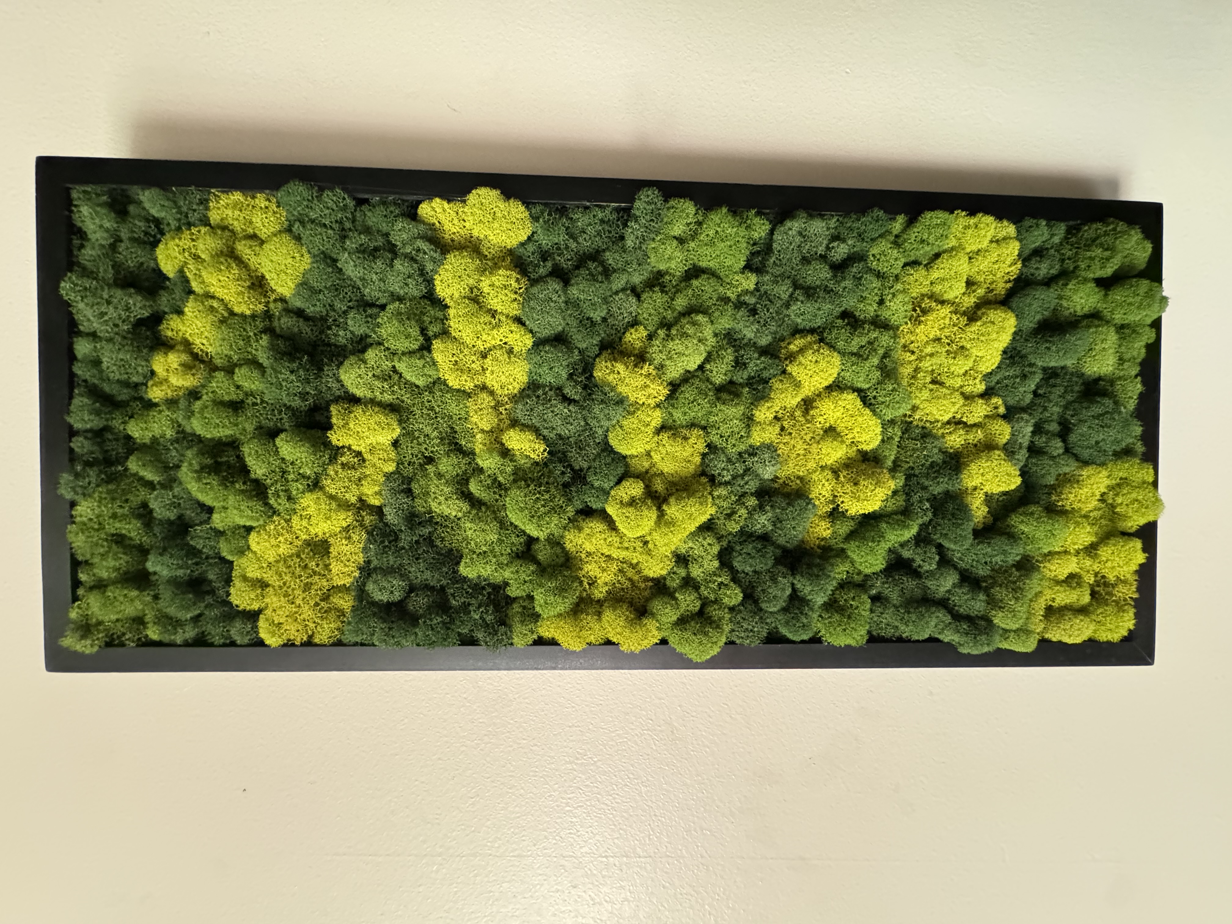 All Shades of Green Moss Wall Panel