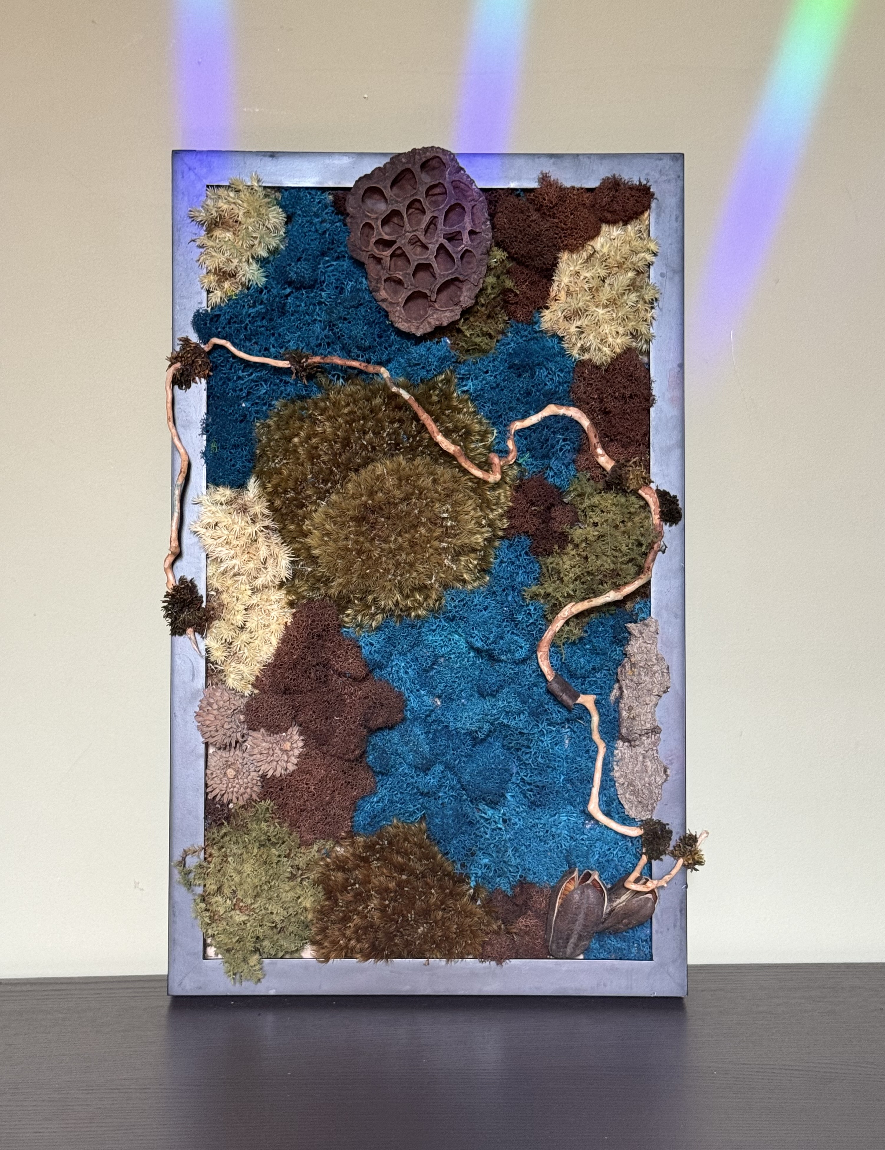 18×11″ Preserved Moss Art 'Ocean Depths'