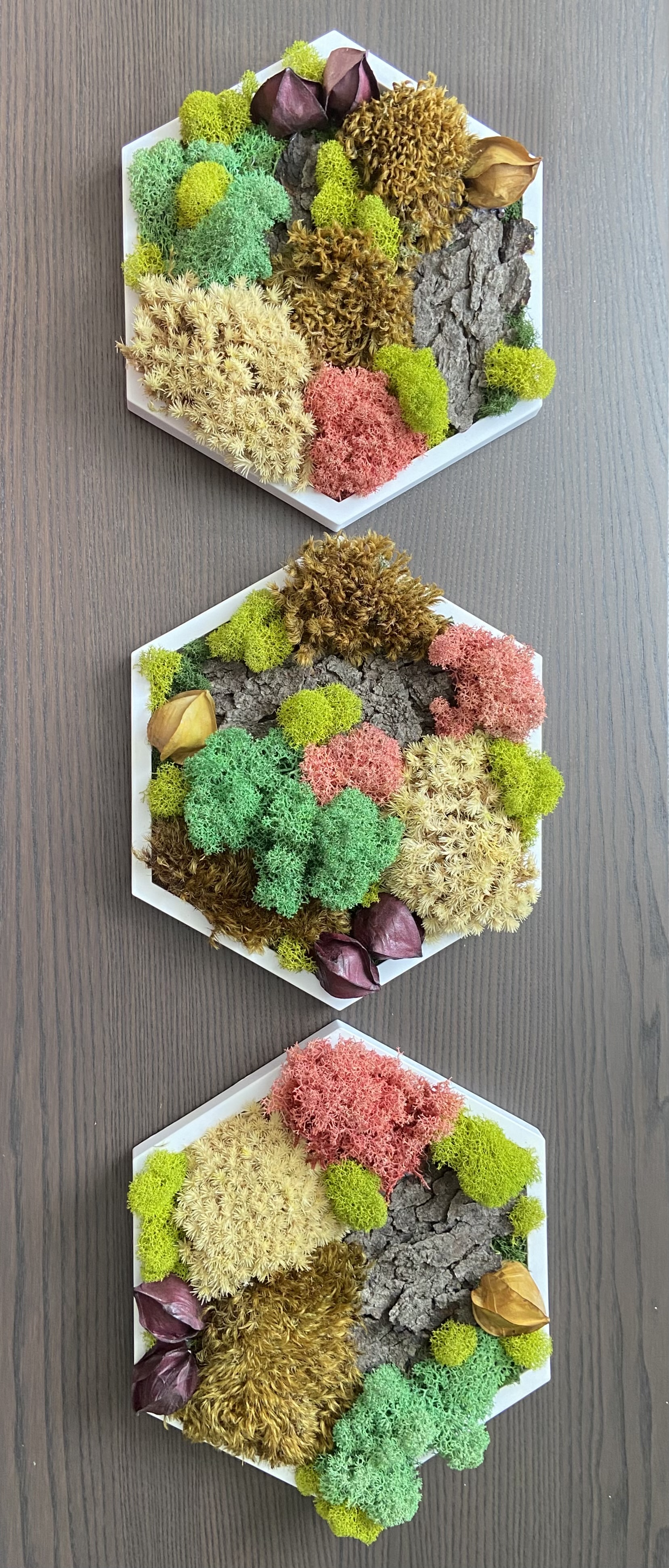 BLUSH & CREAM PATCHWORK PRESERVED MOSS HEXAGON  (5” SIDE)