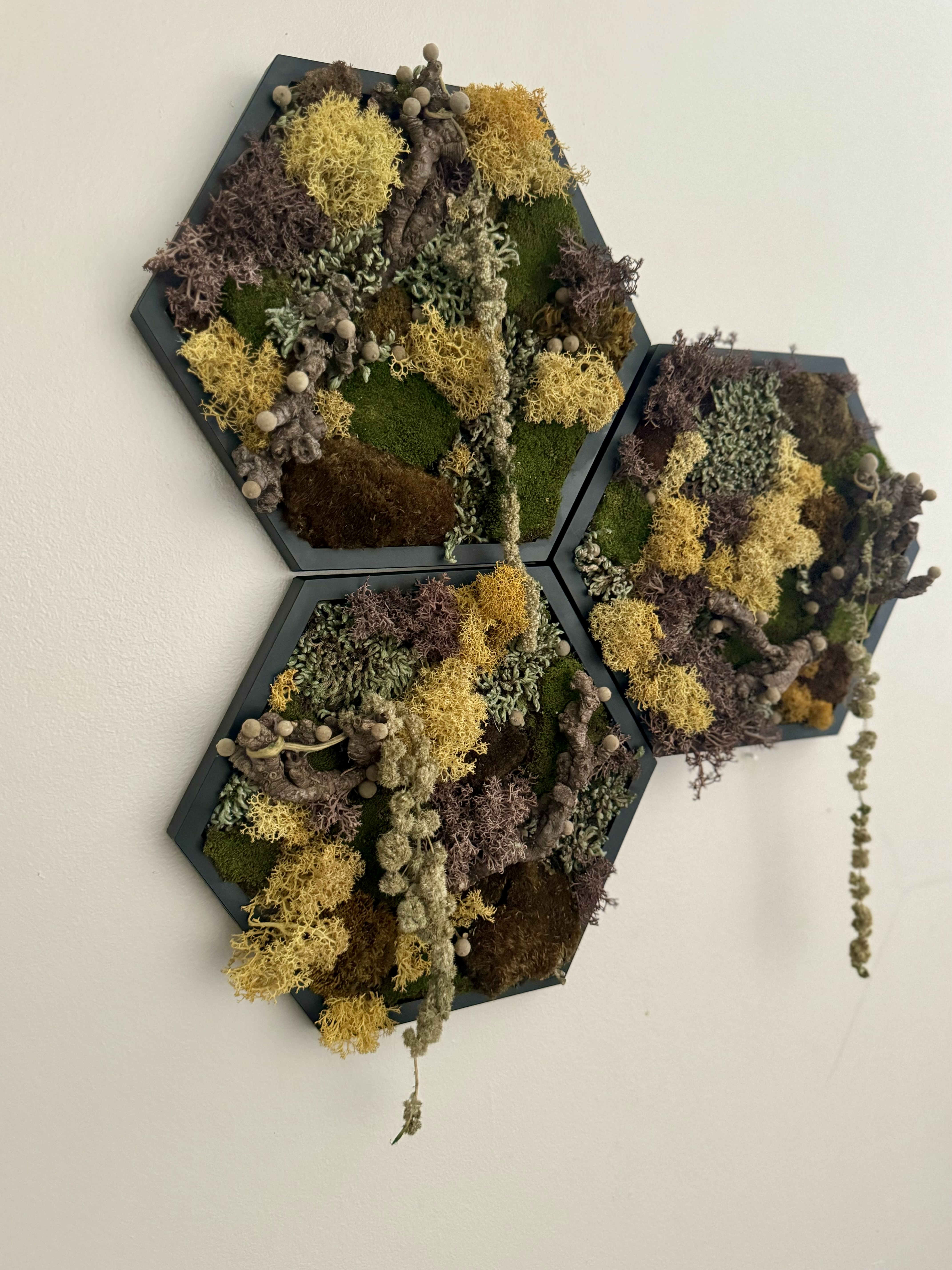 UNFETTERED NATURE MATRIX MOSS HEXAGON (5” SIDE)