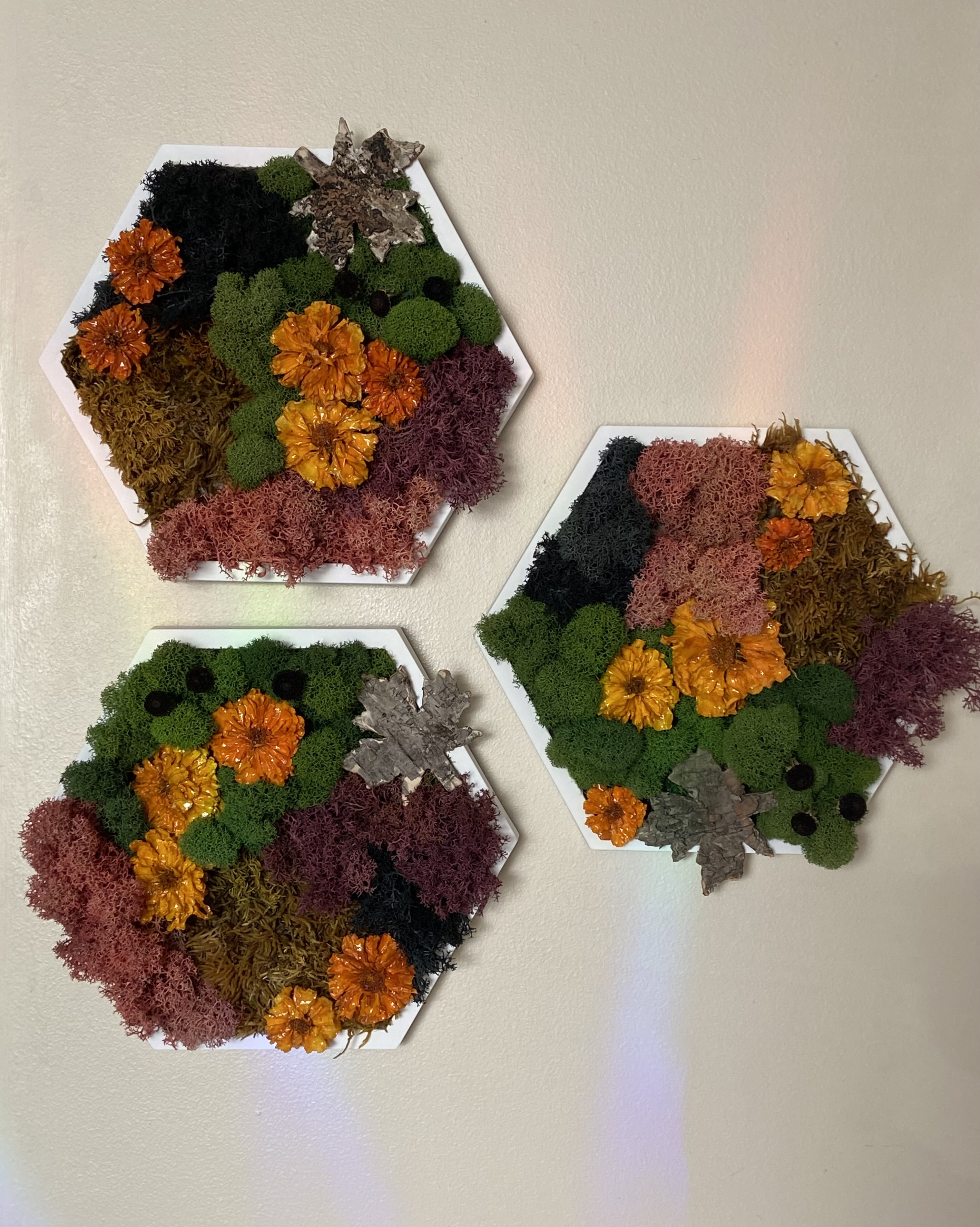 HARVEST BLOOM — PRESERVED MOSS HEXAGON  (5” SIDE)
