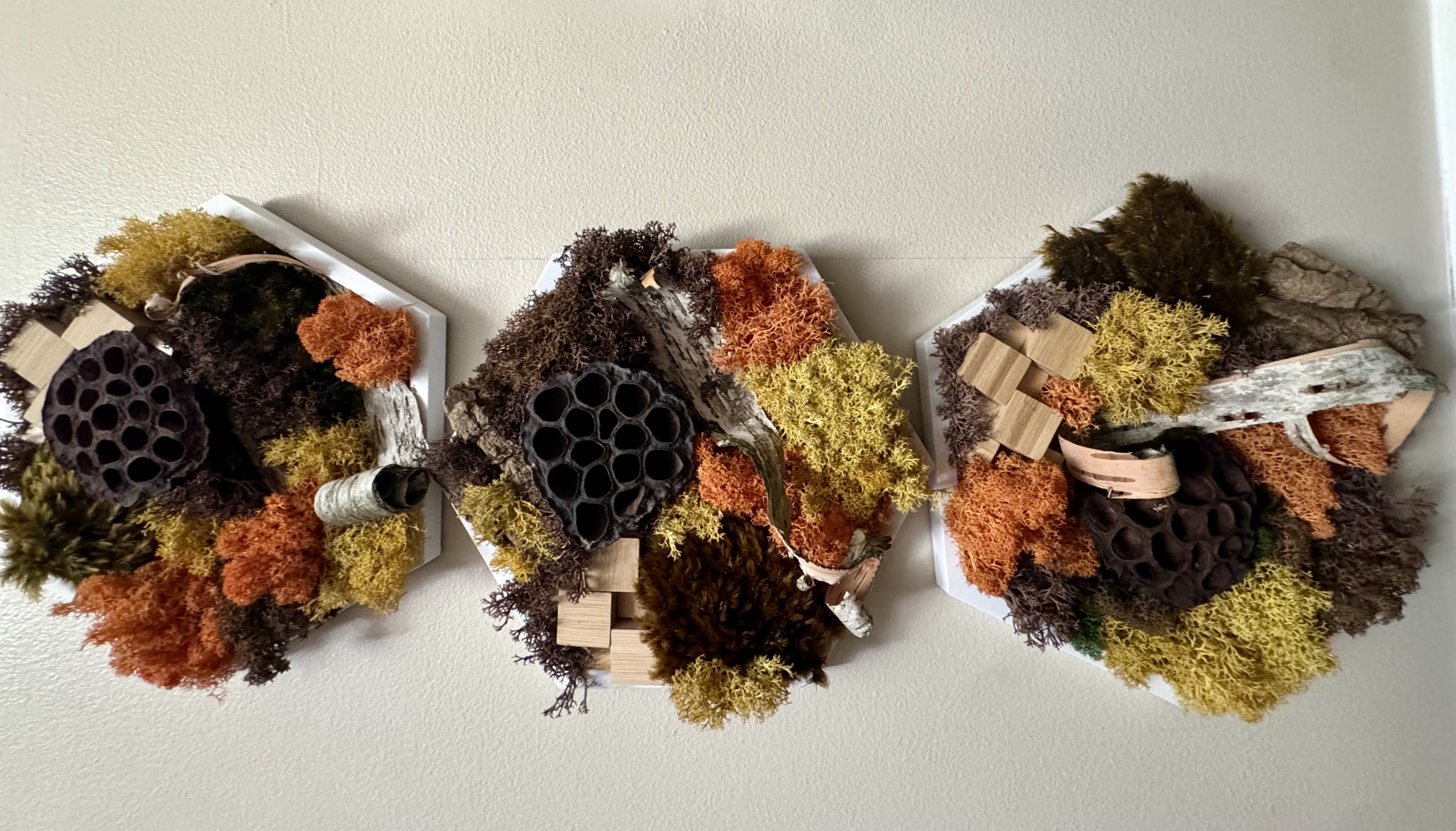 AUTUMN IGNITION HEXAGON SET — 5” SIDE (SET OF 3)