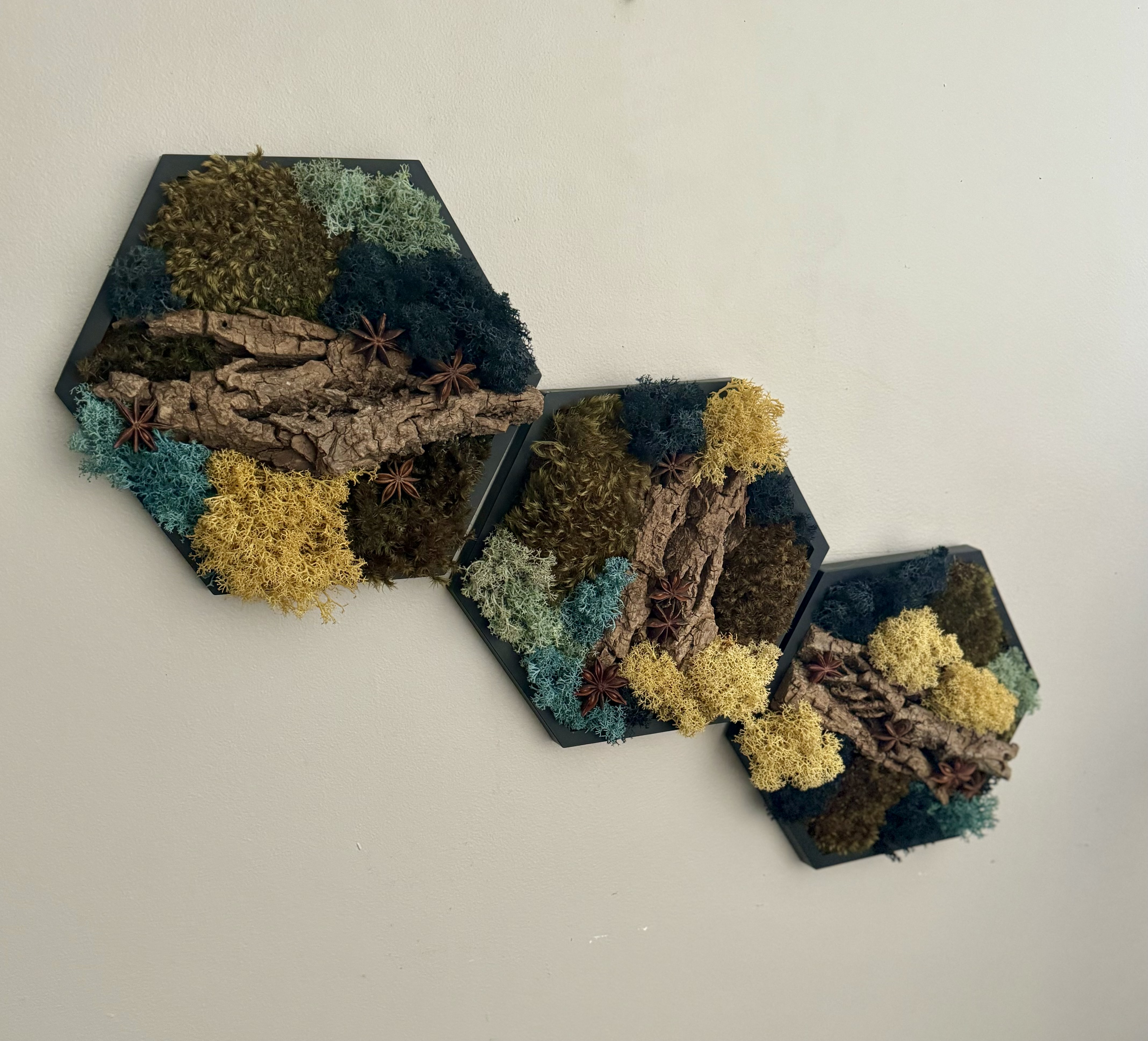 MOSS · BARK · ANISE PRESERVED MOSS HEXAGONS— 5″ Side