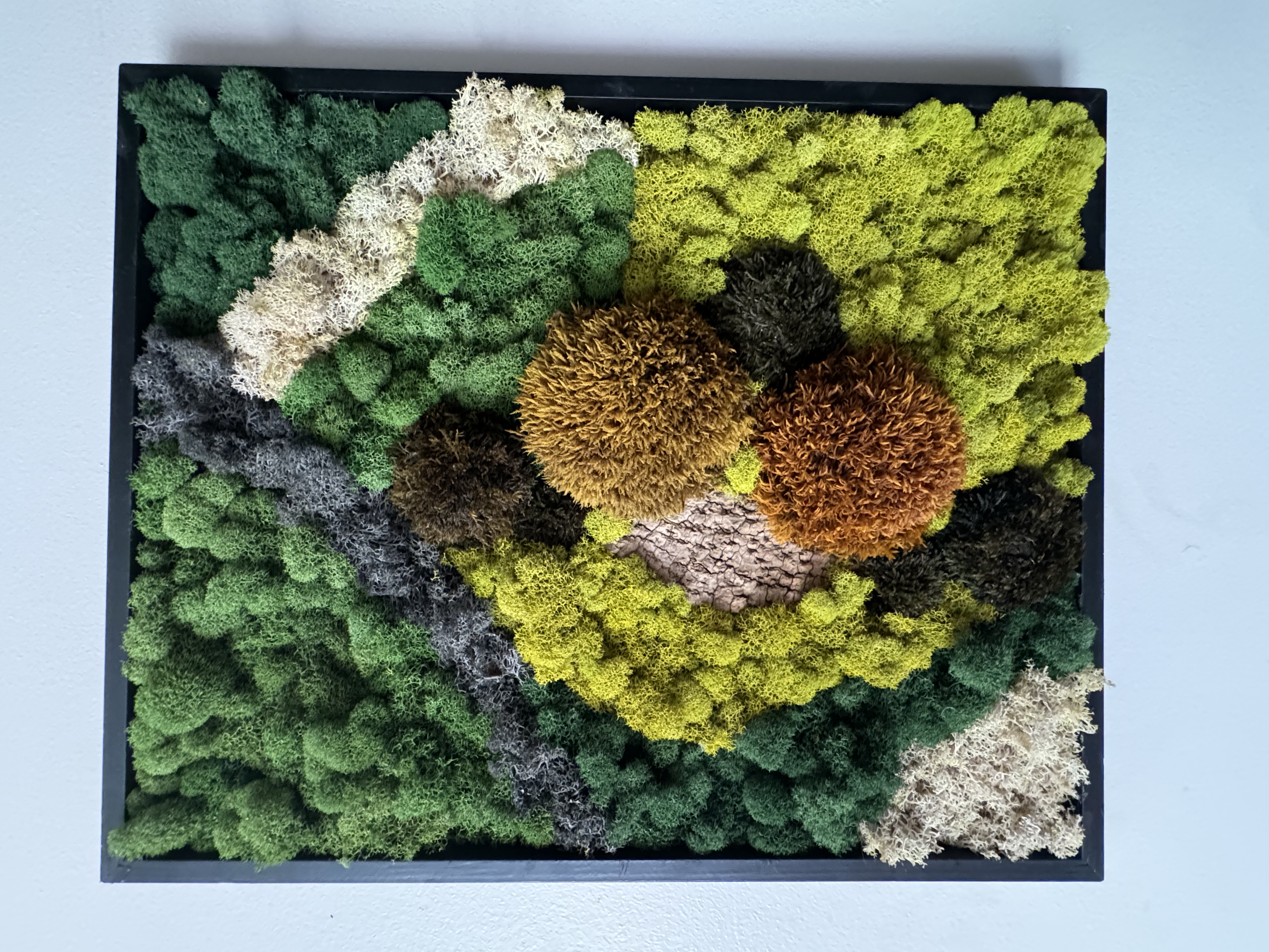 Clean lines meet wild texture - 21×17” statement piece