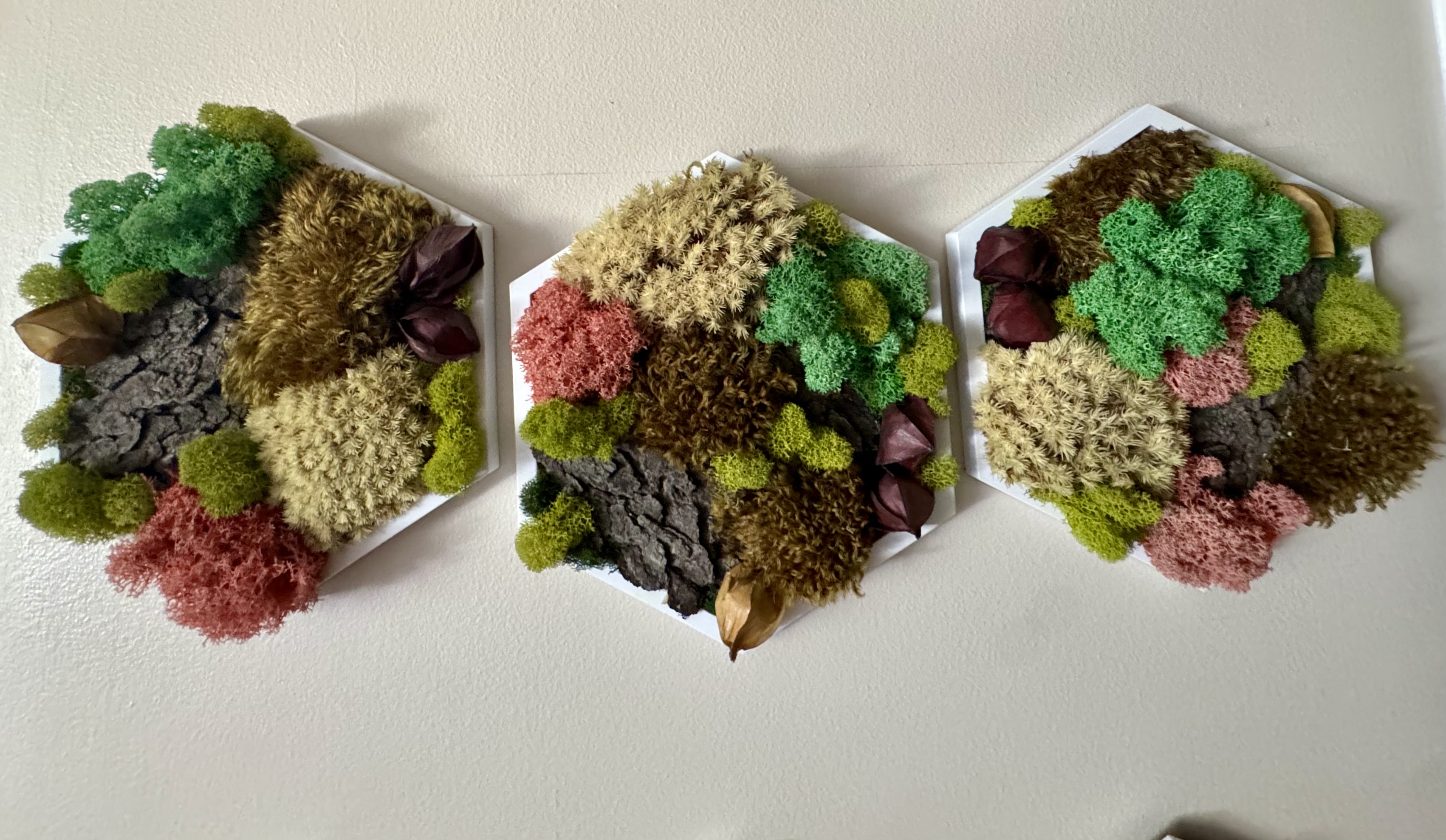 BLUSH & CREAM PATCHWORK PRESERVED MOSS HEXAGON  (5” SIDE)