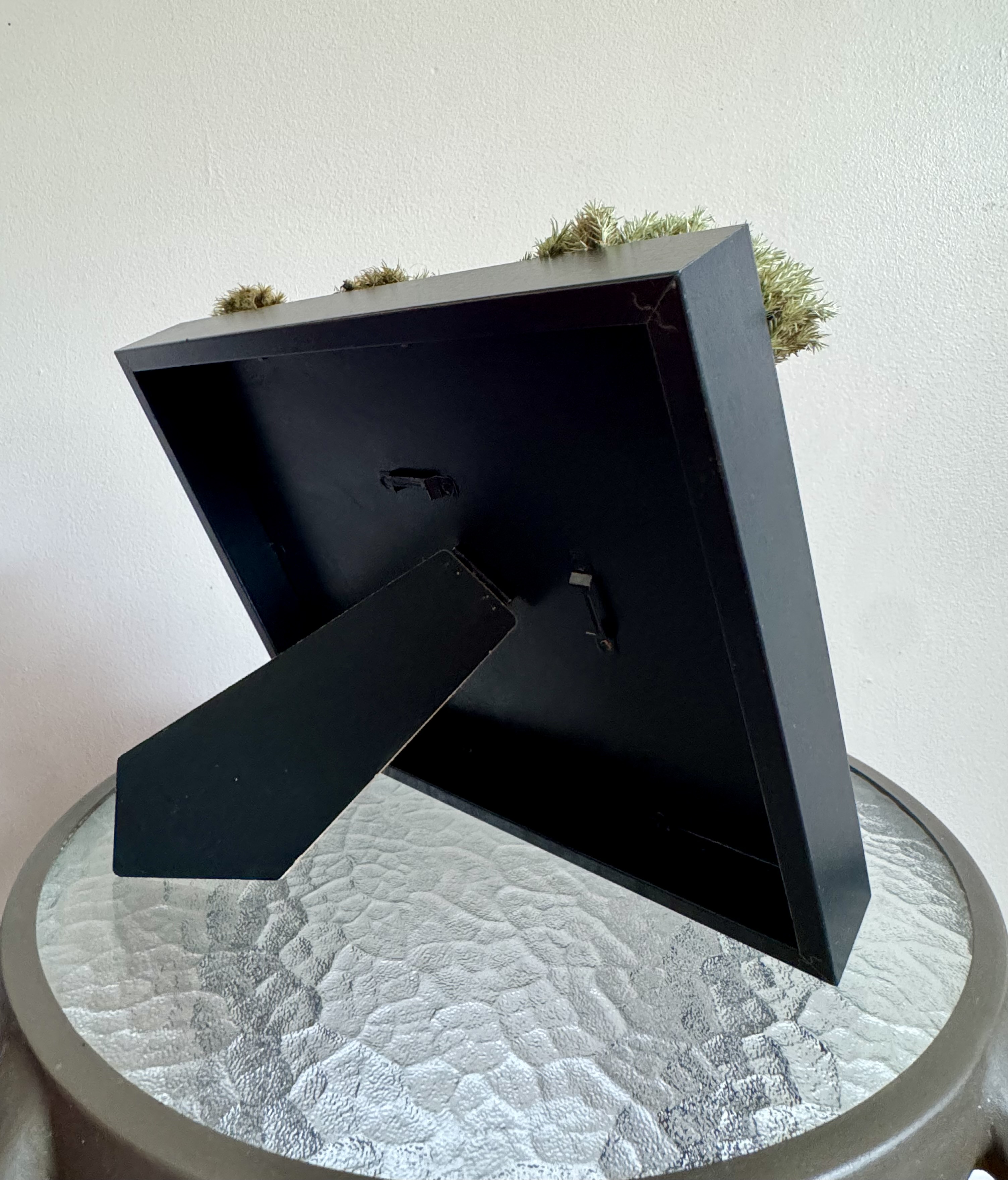 11x9 inches preserved moss art piece