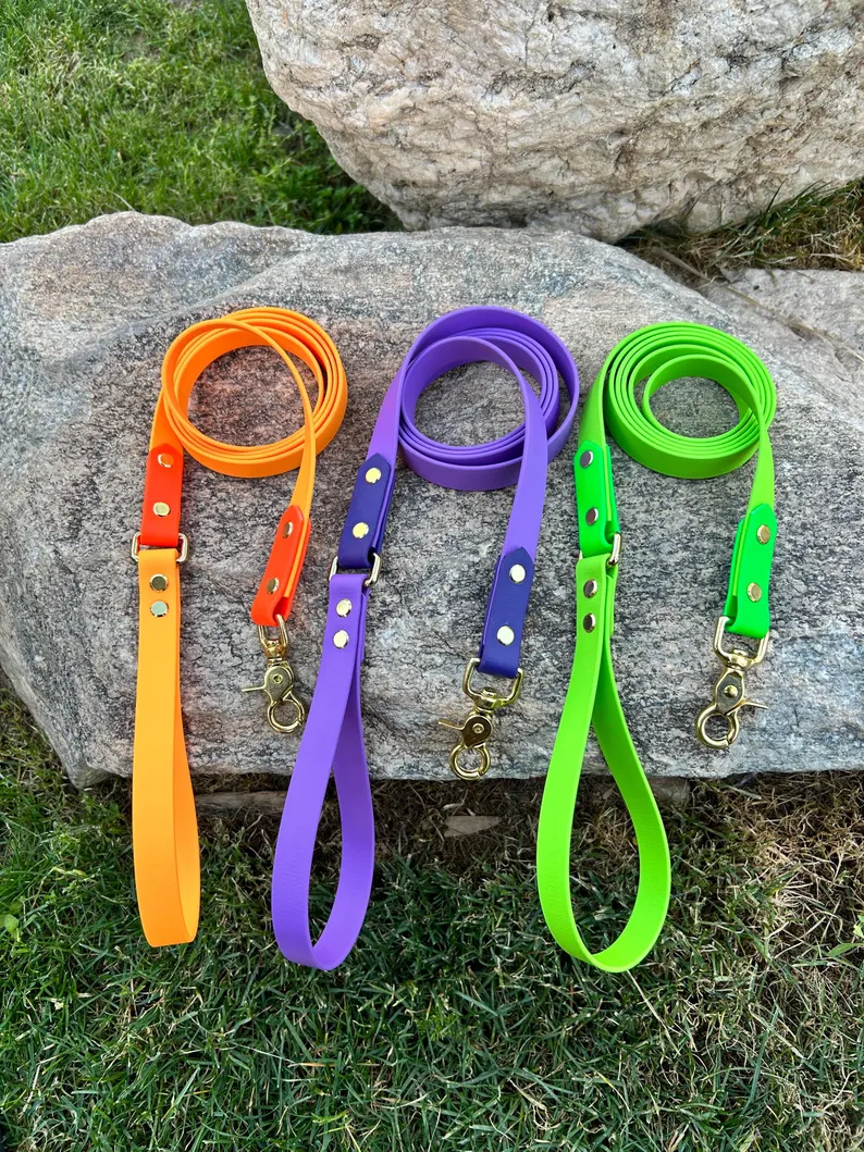 Springtime Biothane Leash