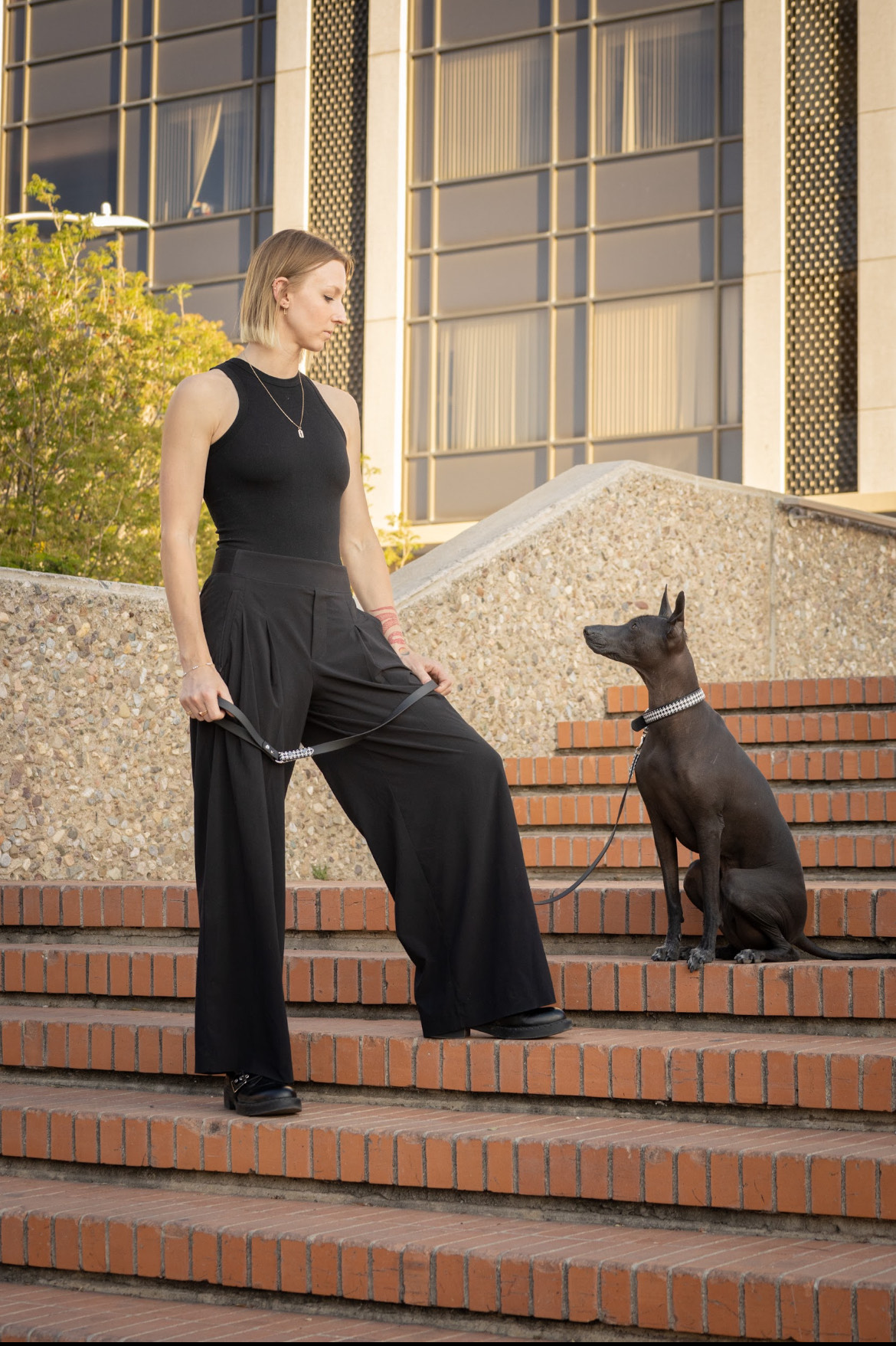 Houndstooth Dog Collar and Leash Set