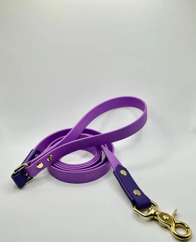 Springtime Biothane Leash