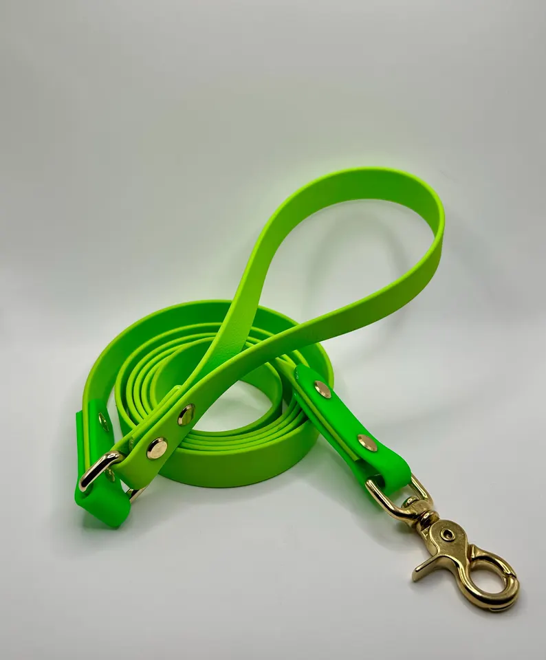 Springtime Biothane Leash